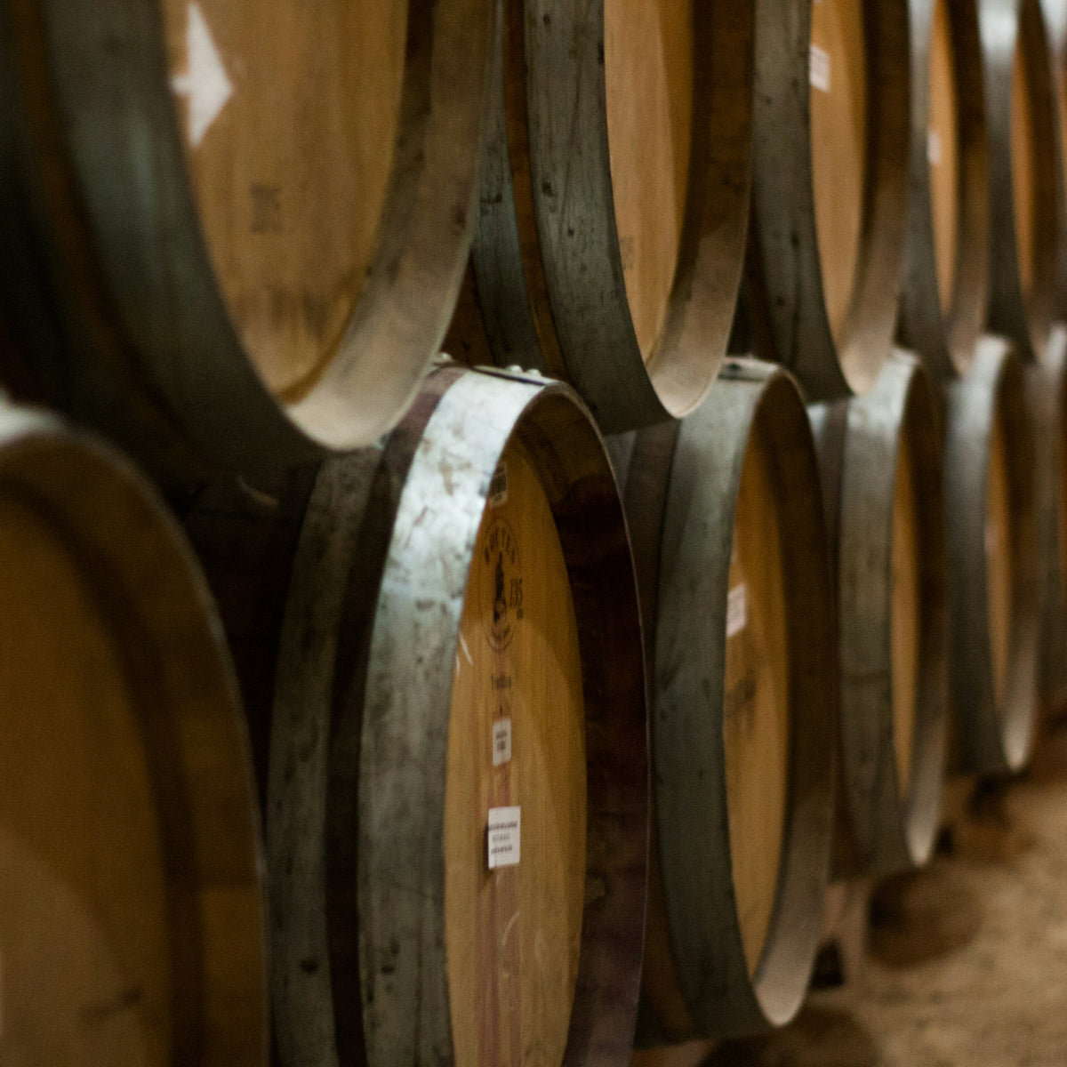 Rows of oak barrels in an aging cellar