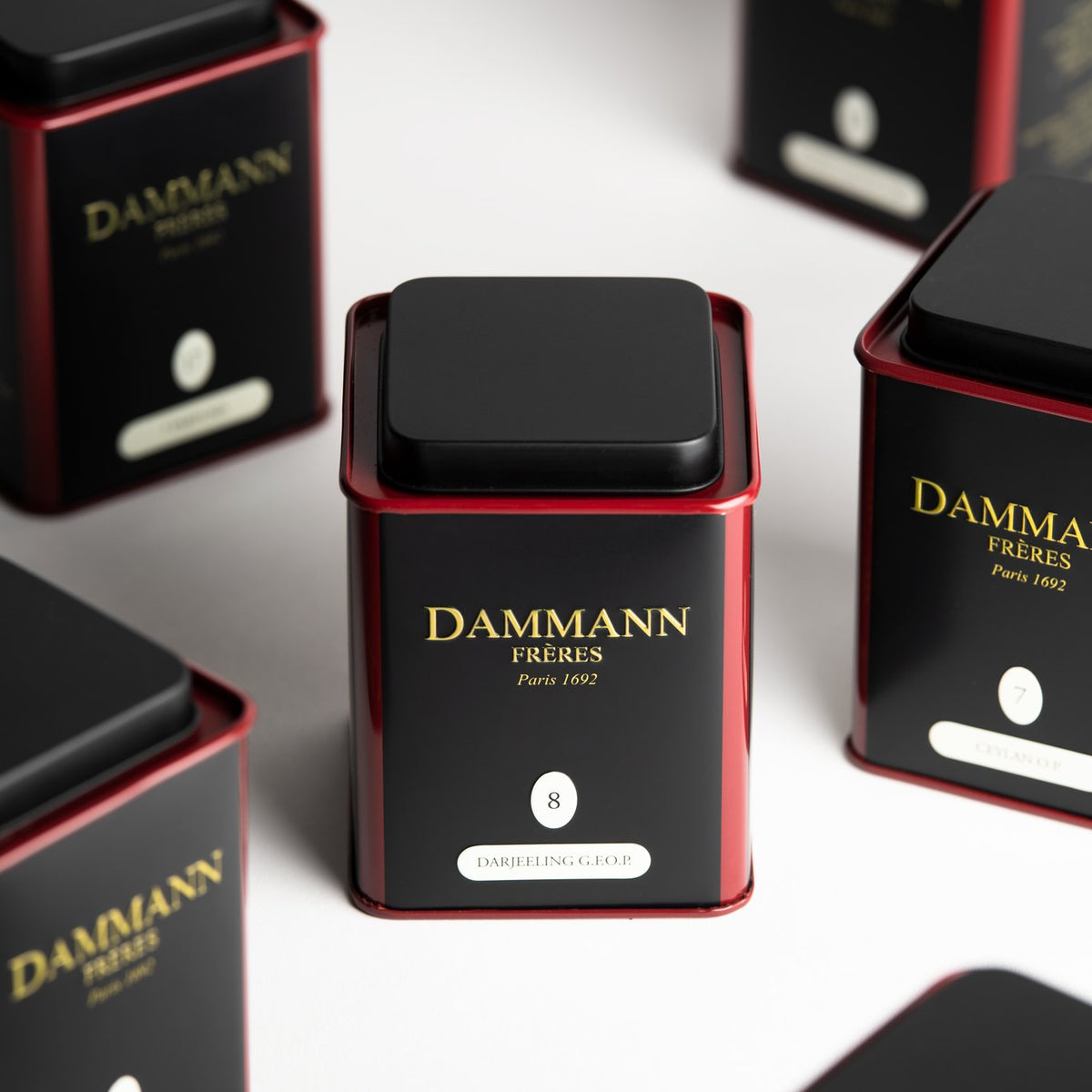 Dammann Frères Darjeeling G.F.O.P. N°8 tin among black and red tea canisters