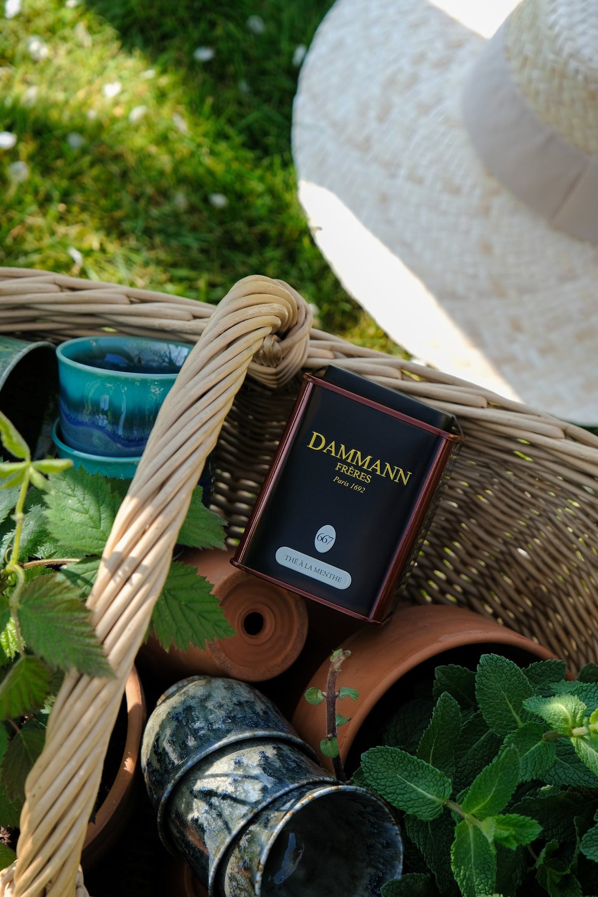 Dammann Frères Thé à la Menthe N°667 tin in a wicker basket with fresh mint and terracotta pots