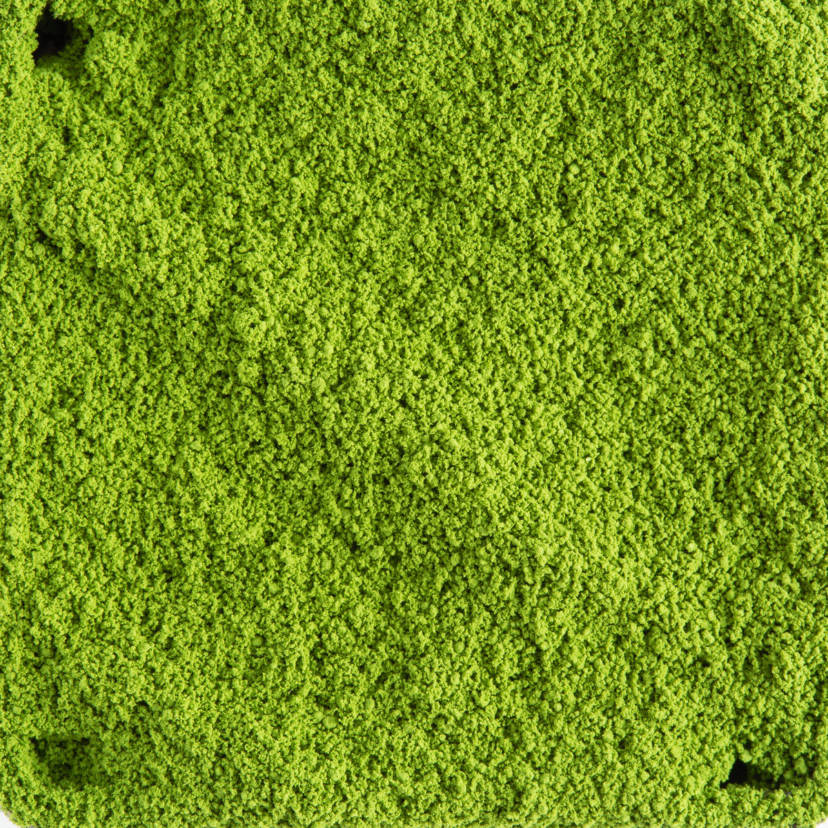Gros plan sur la poudre du matcha de cérémonie Minami Yamashiro de Dammann Frères