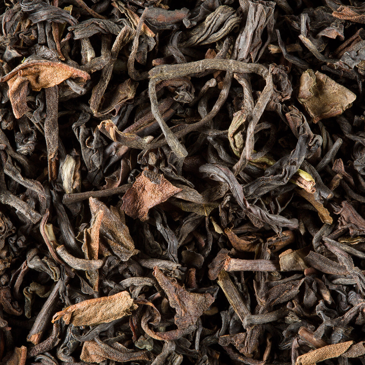 Close-up of Darjeeling G.F.O.P. loose-leaf tea by Dammann Frères