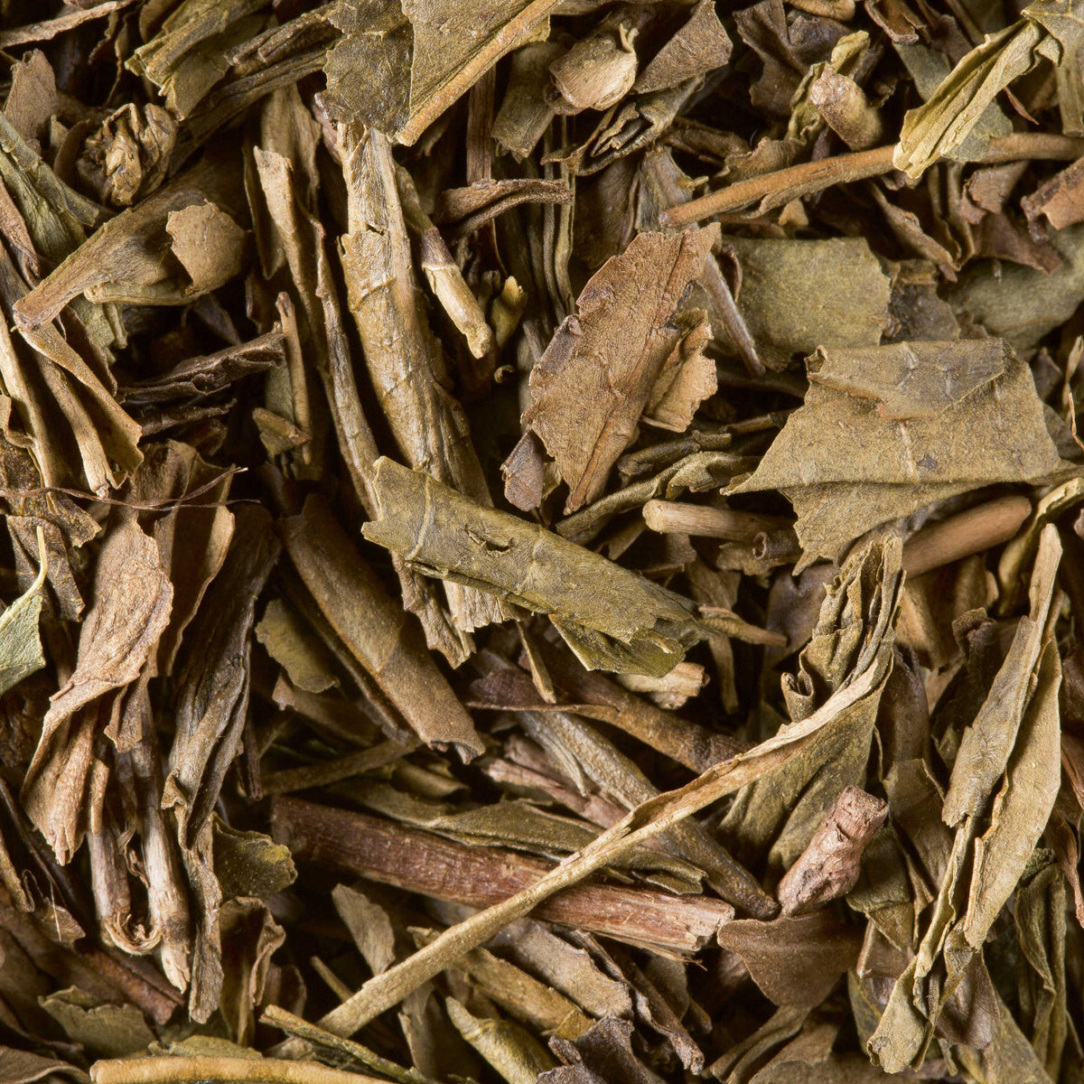 Gros plan sur le thé en vrac Houjicha bio de Dammann Frères