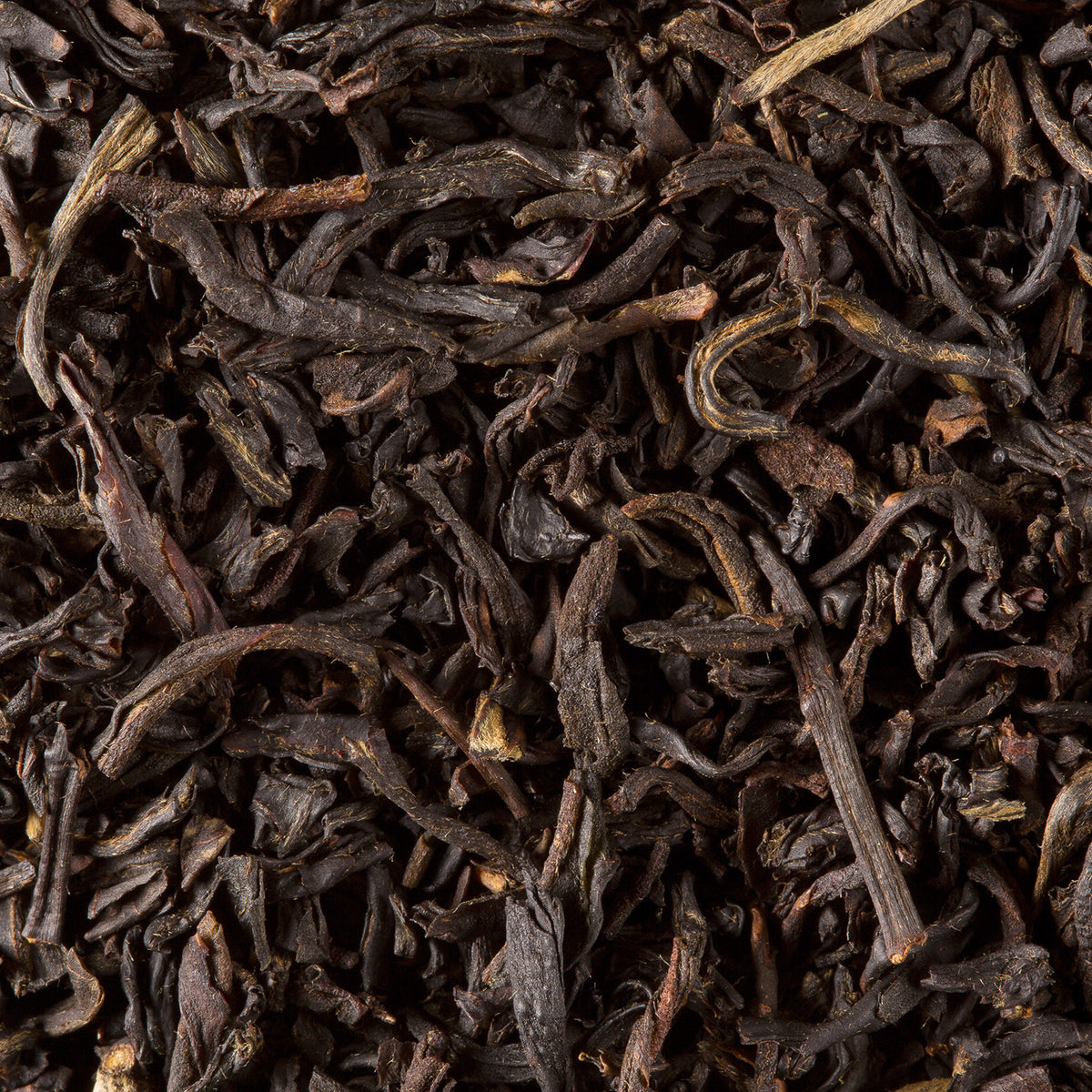Close-up of Smokey Lapsang loose-leaf tea by Dammann Frères