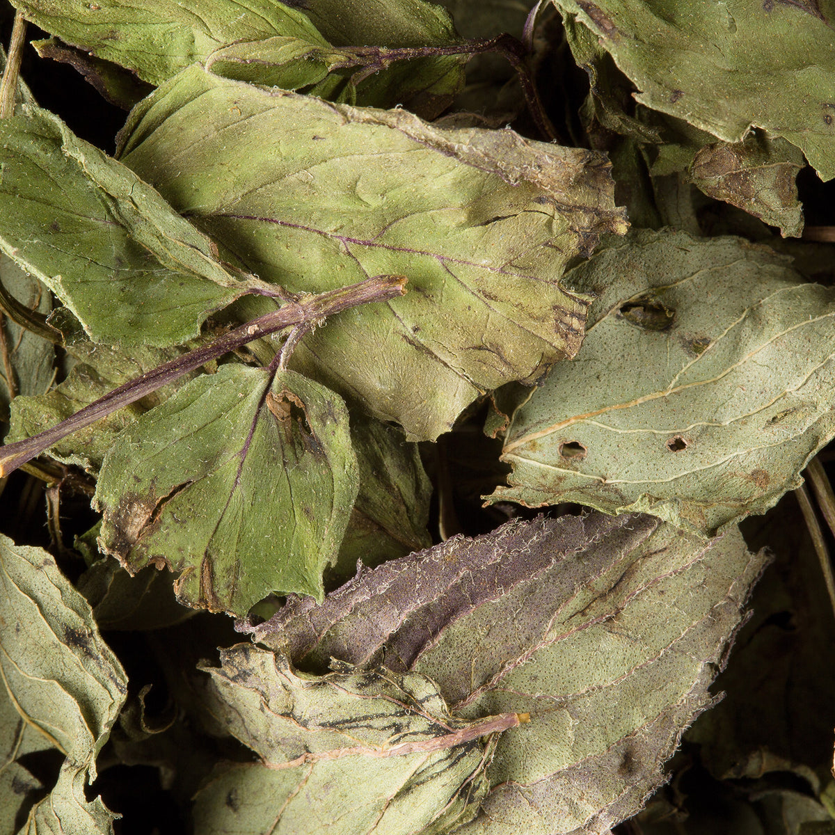 Close-up of Dammann Frères organic mint leaves