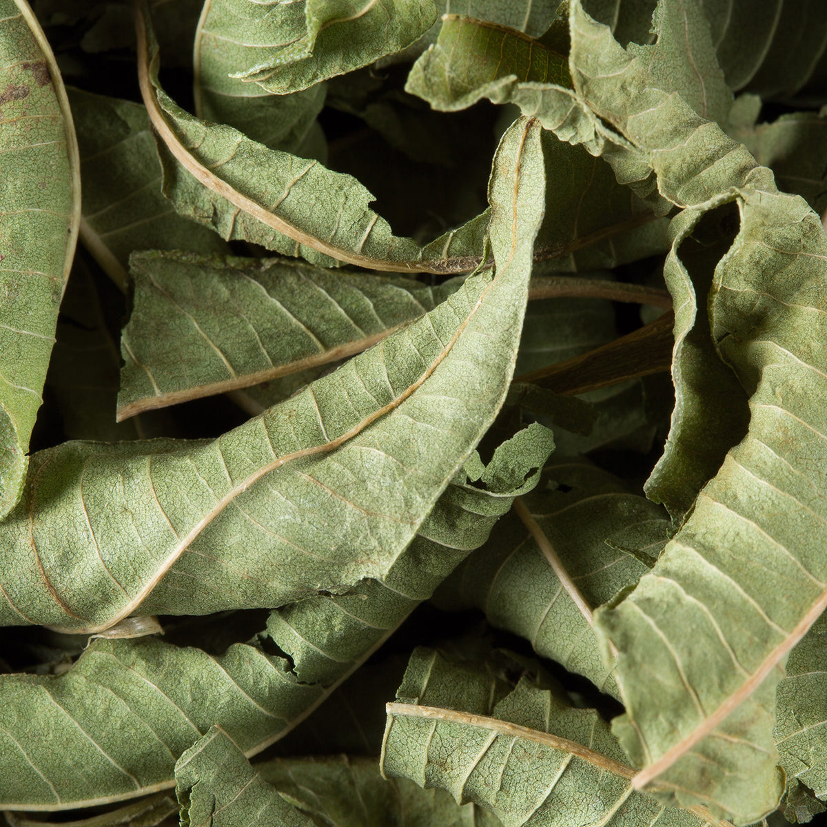 Close-up of Verbena loose herbal infusion by Dammann Frères