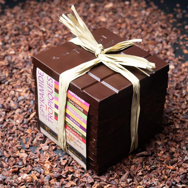 Pyramide des Tropiques de François Pralus sur éclats de fèves de cacao