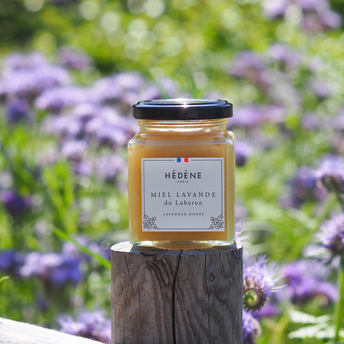 Pot de miel de lavande Hédène sur une souche, parmi des fleurs violettes, avec une abeille