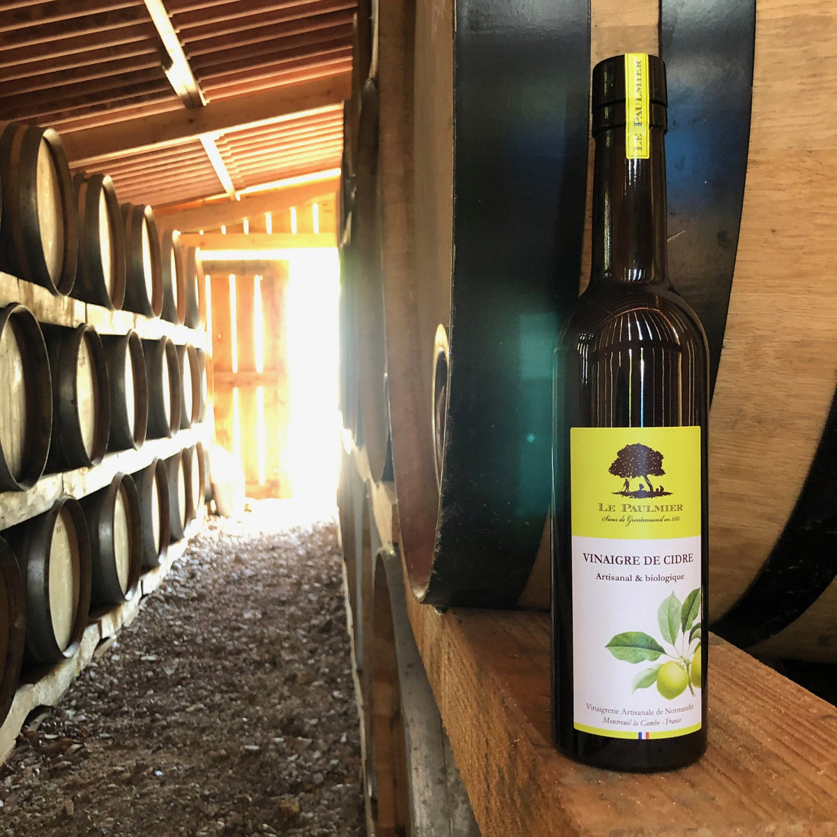 Le Paulmier apple cider vinegar in the barrel cellar