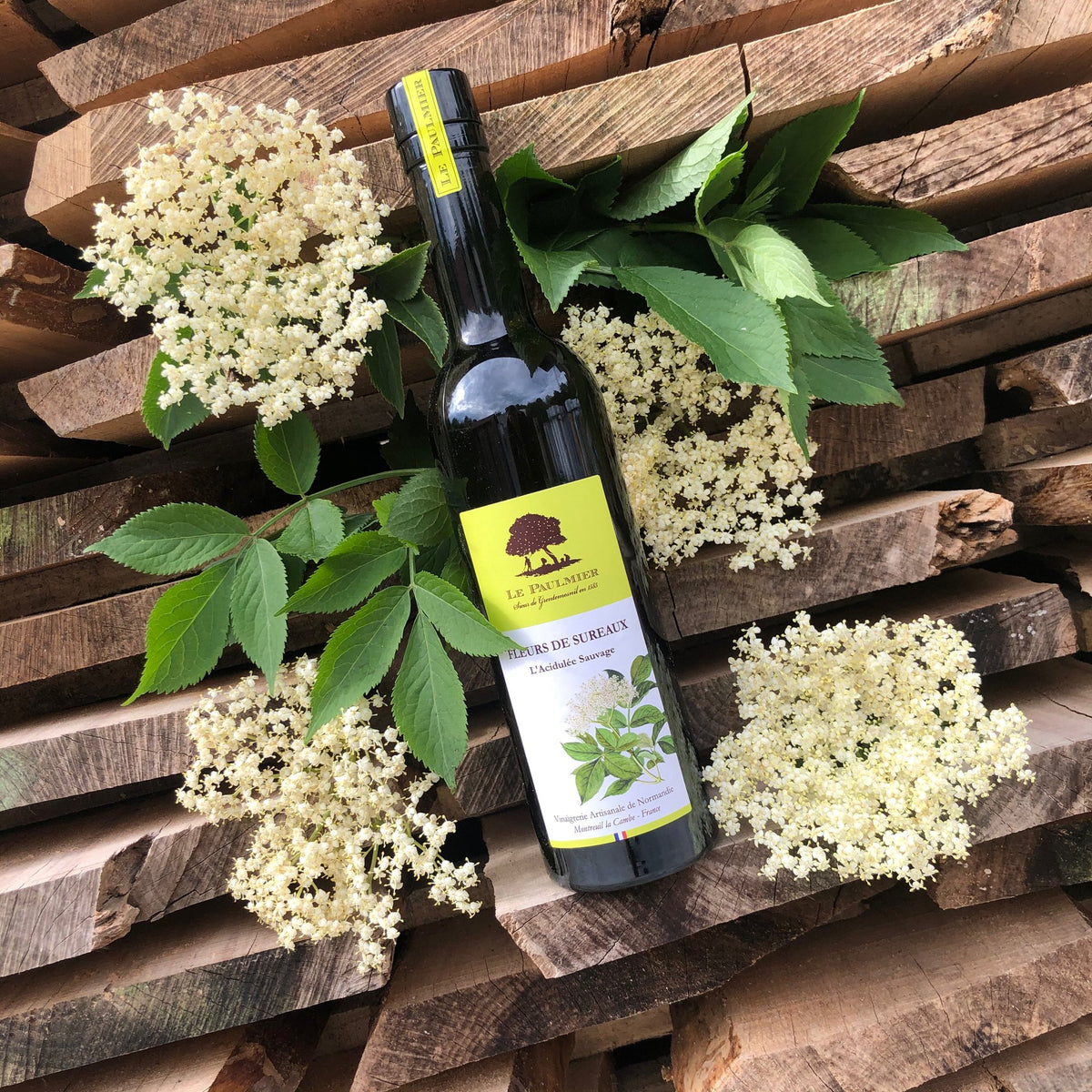 Le Paulmier elderflower cider vinegar with fresh elderflowers