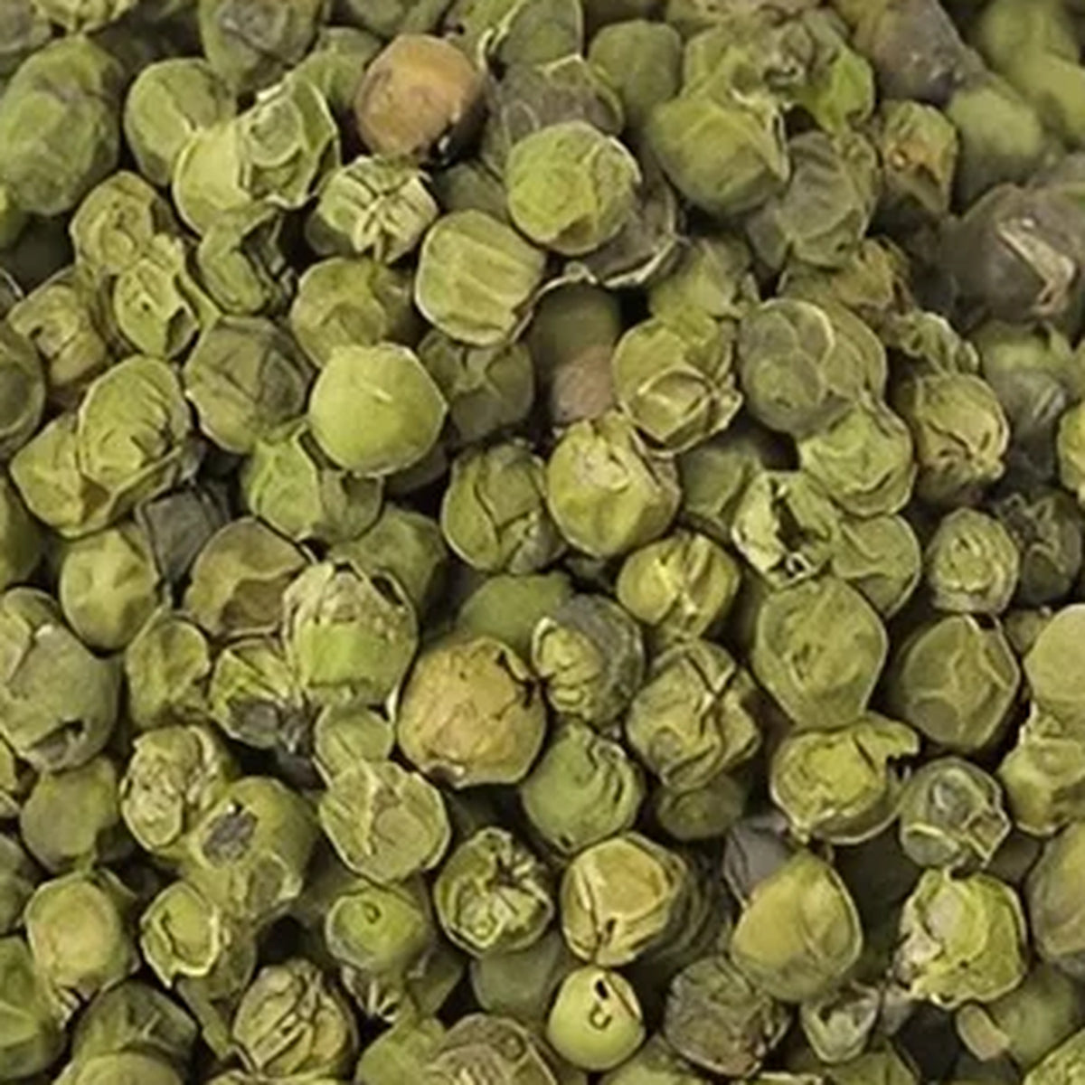 Close-up of Green Peppercorn Kerala by Place des Épices