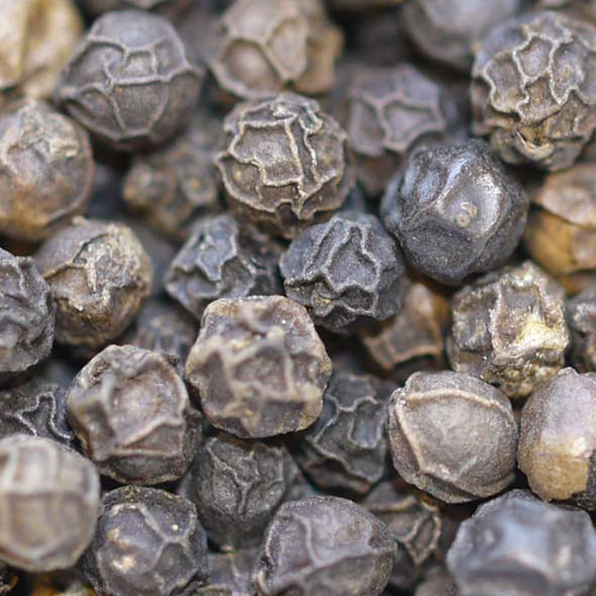 Close-up of Black Peppercorn Tellicherry by Place des Épices