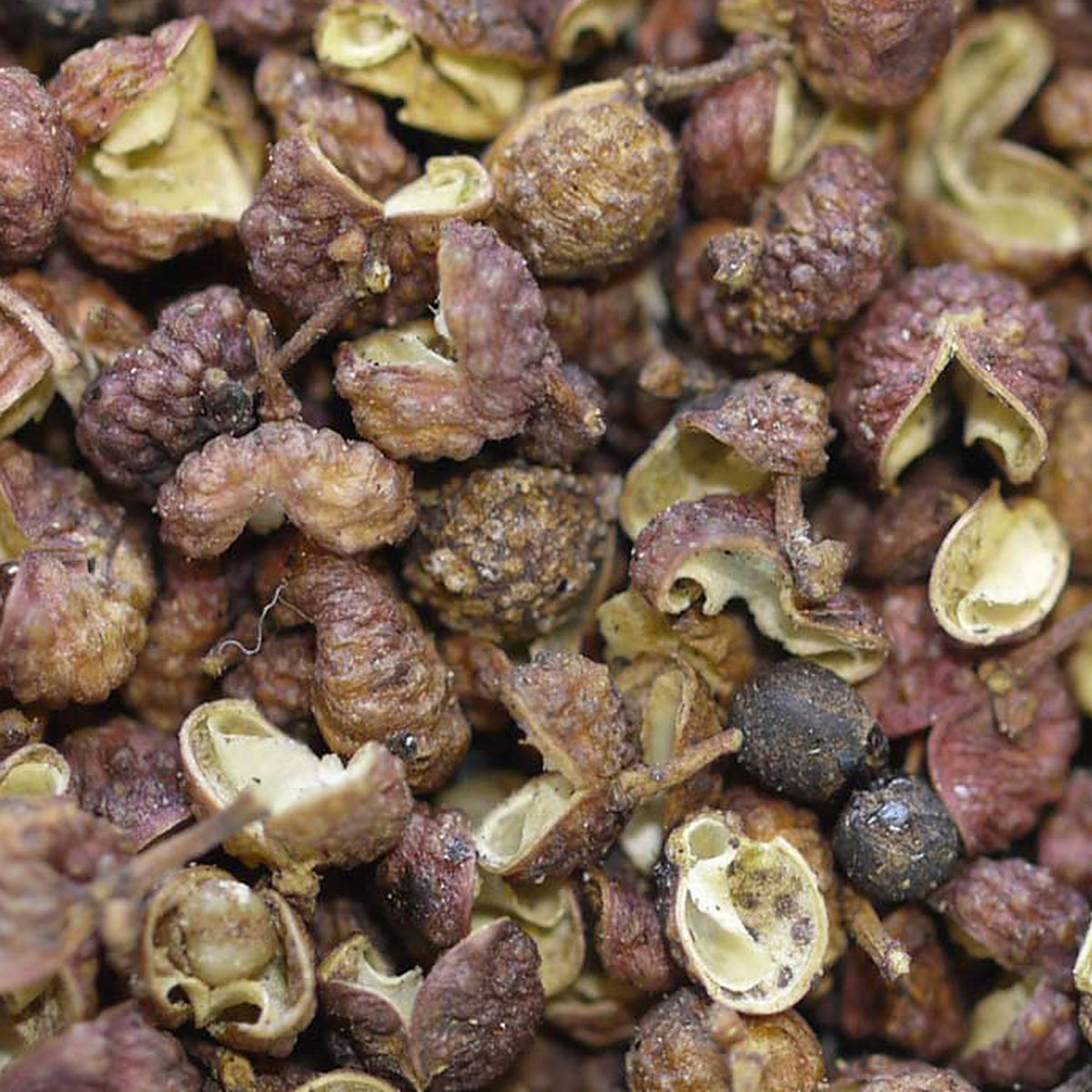 Close-up of Red Peppercorn Sichuan by Place des Épices