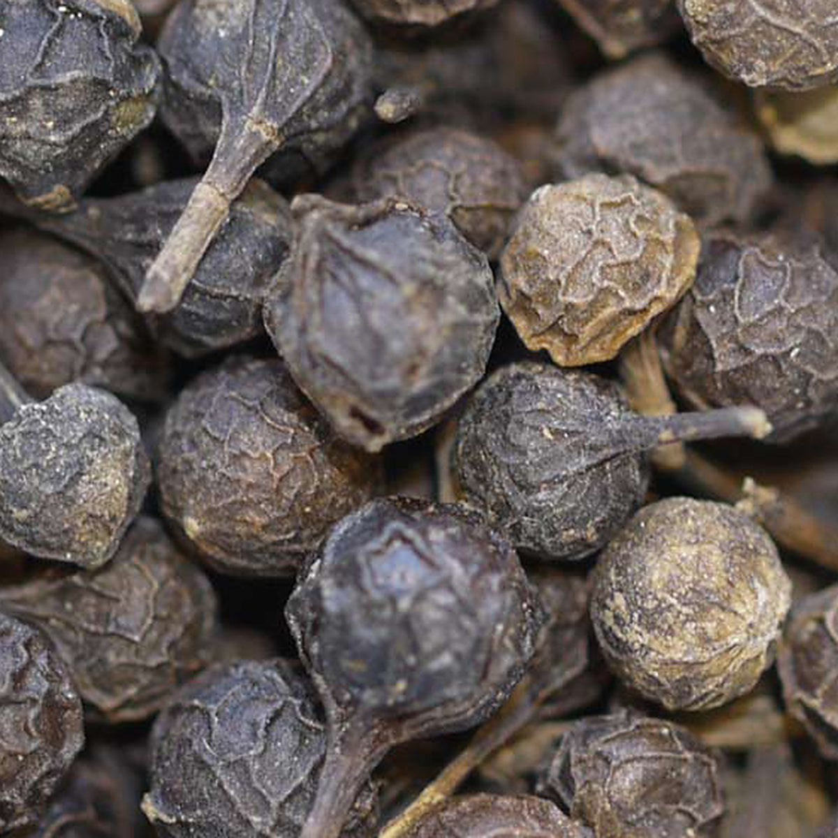 Close-up of Cubeb Peppercorn by Place des Épices