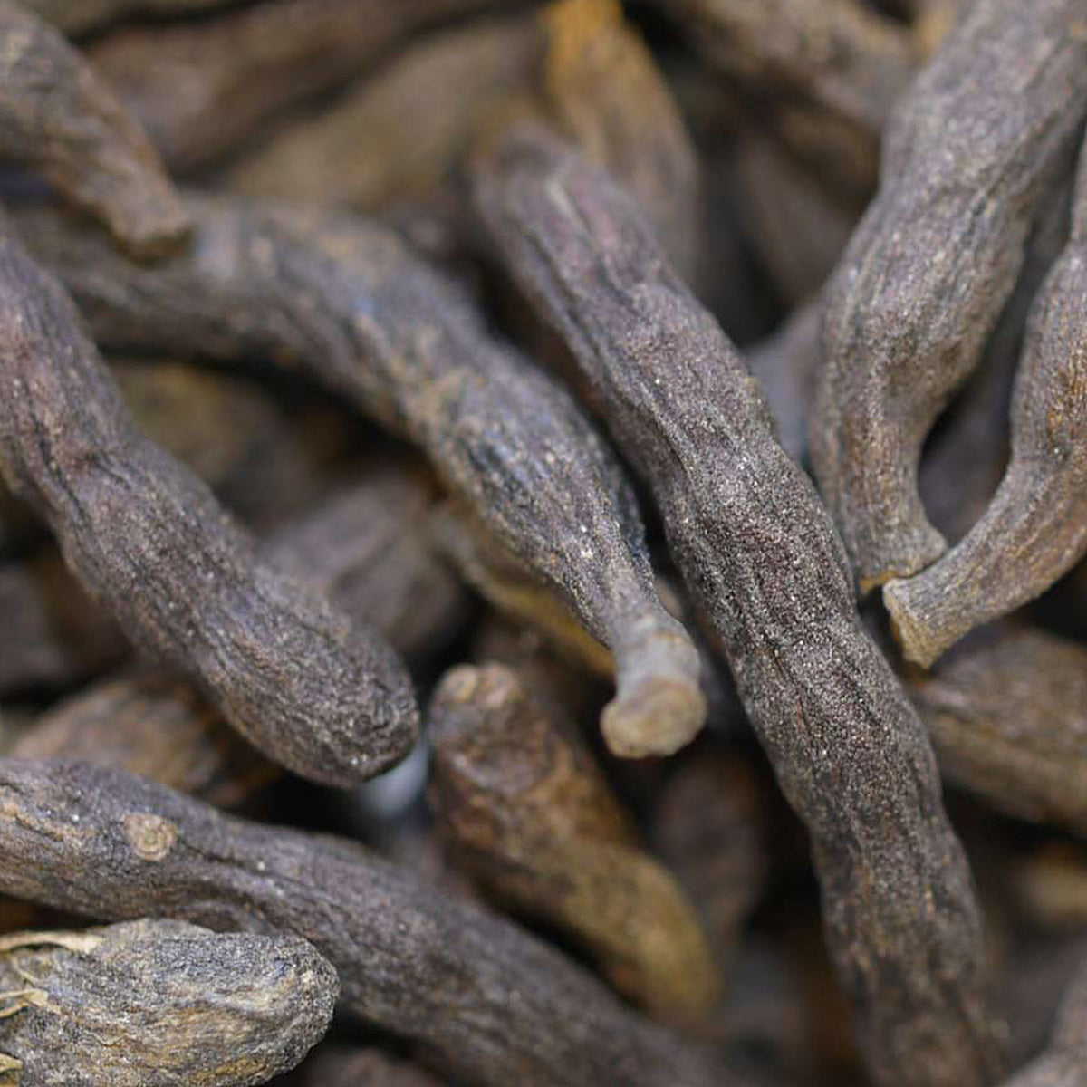 Close-up of Selim Peppercorns by Place des Épices