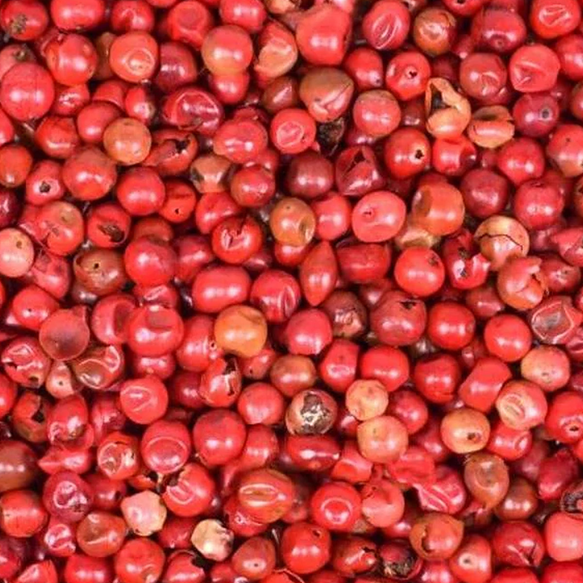 Close-up of Pink Berries by Place des Épices