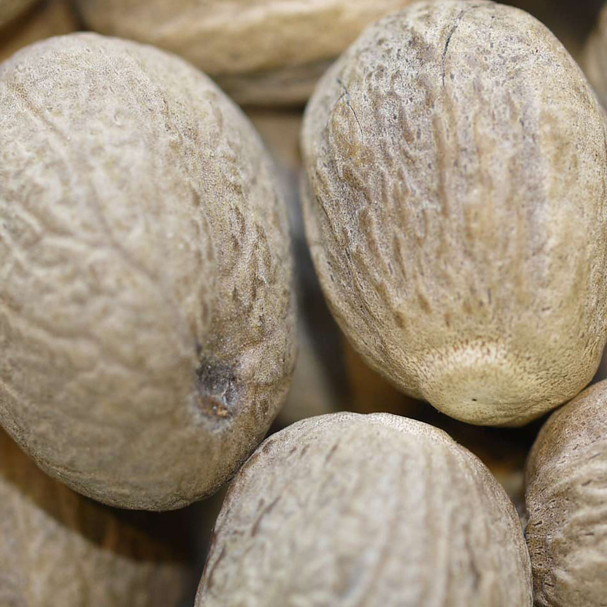Close-up of Whole Nutmeg by Place des Épices