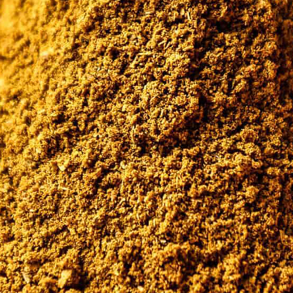 Close-up of Indian Curry by Place des Épices