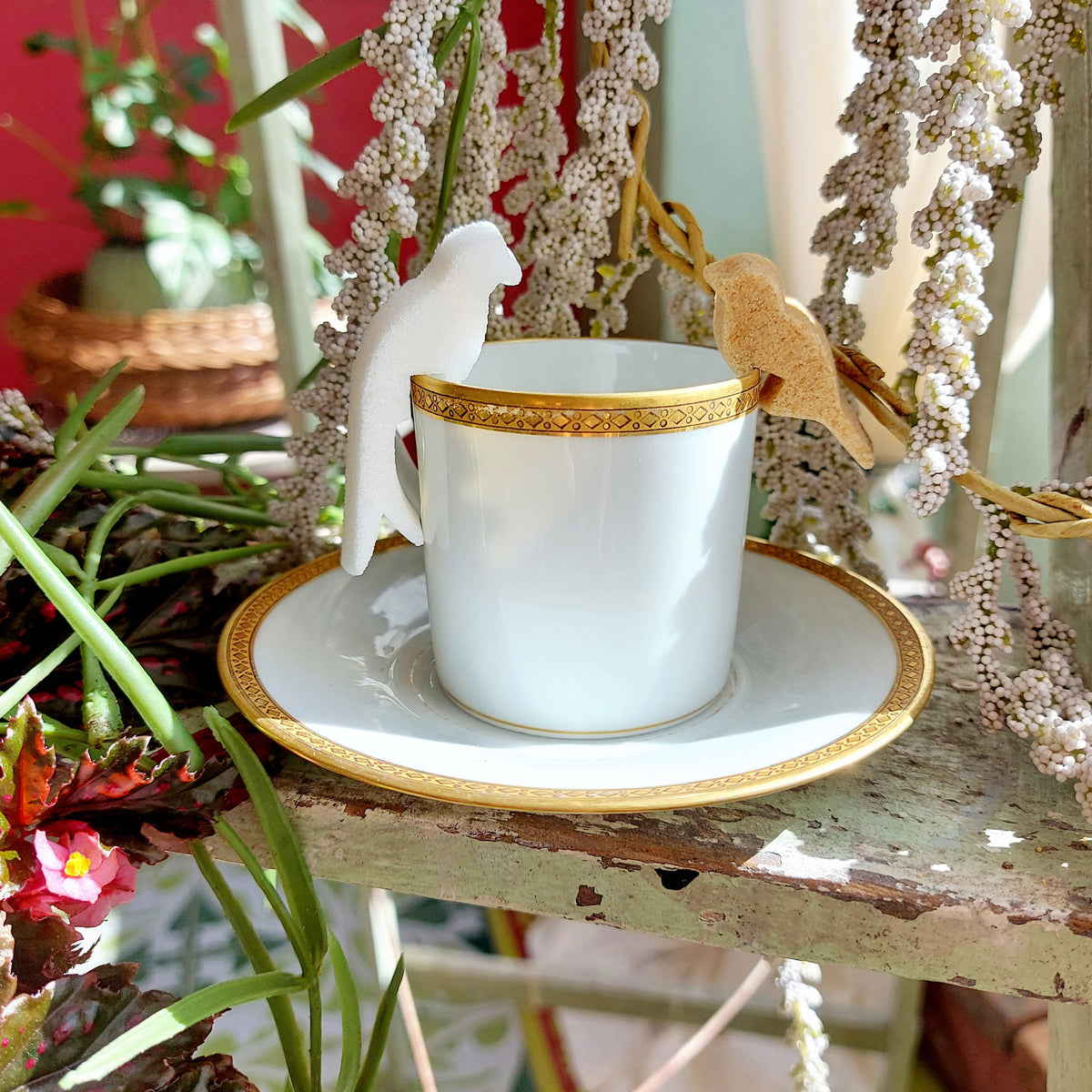Oiseaux en sucre blanc et brun Pause Ailée Canasuc perchés sur une tasse dorée