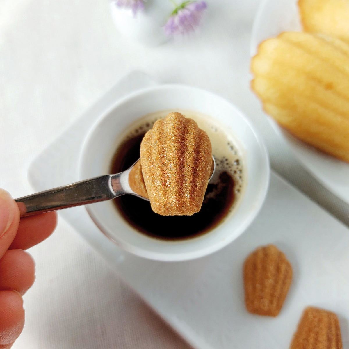 Canasuc Goûter à Paris madeleine-shaped sugar on a spoon over a cup of coffee