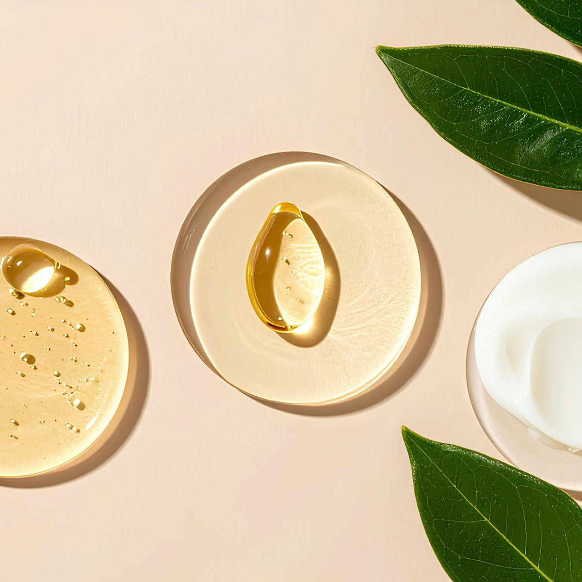 Drops of oil and a swirl of cream on glass dishes with green leaves