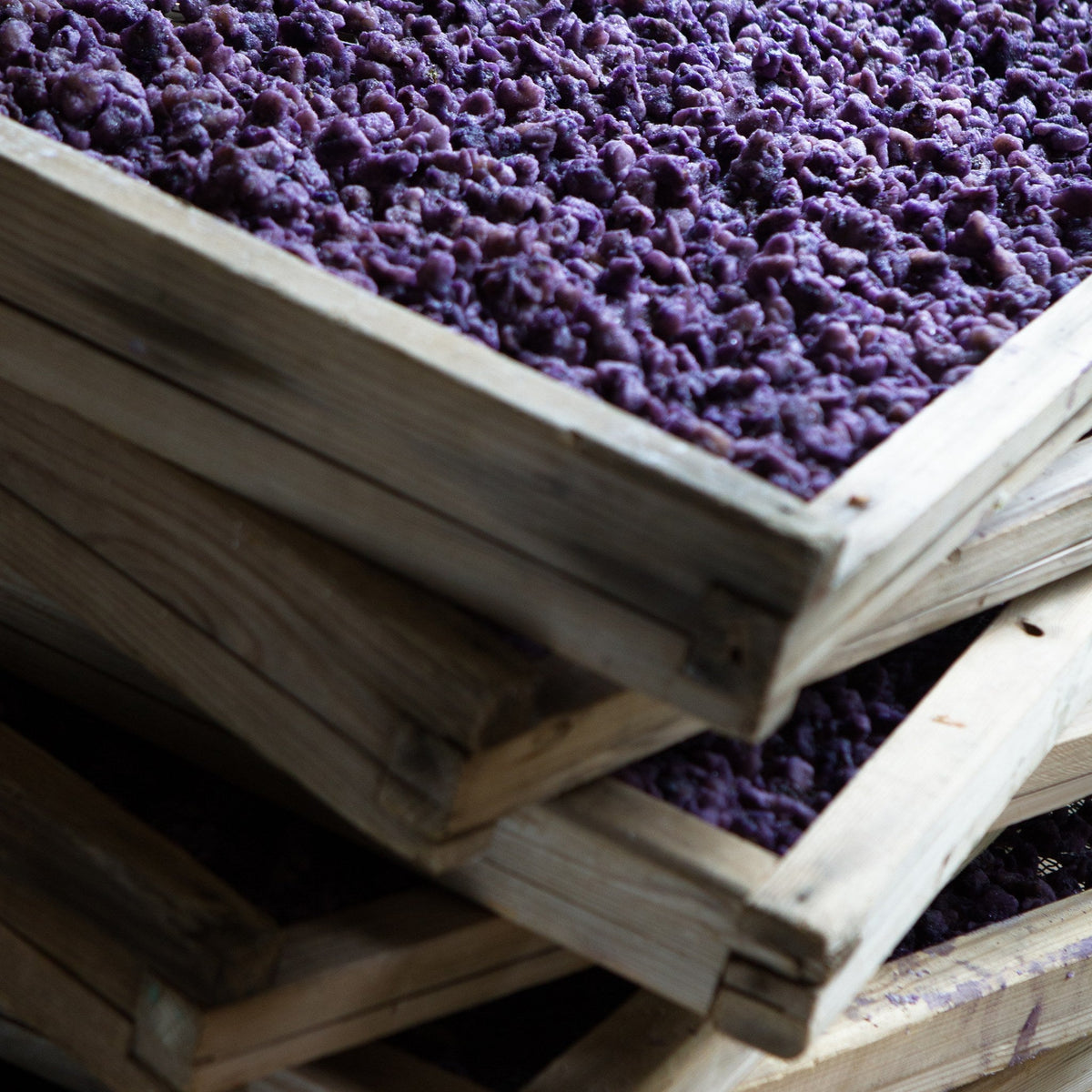 Crystallized Violet Petals by Confiserie Florian