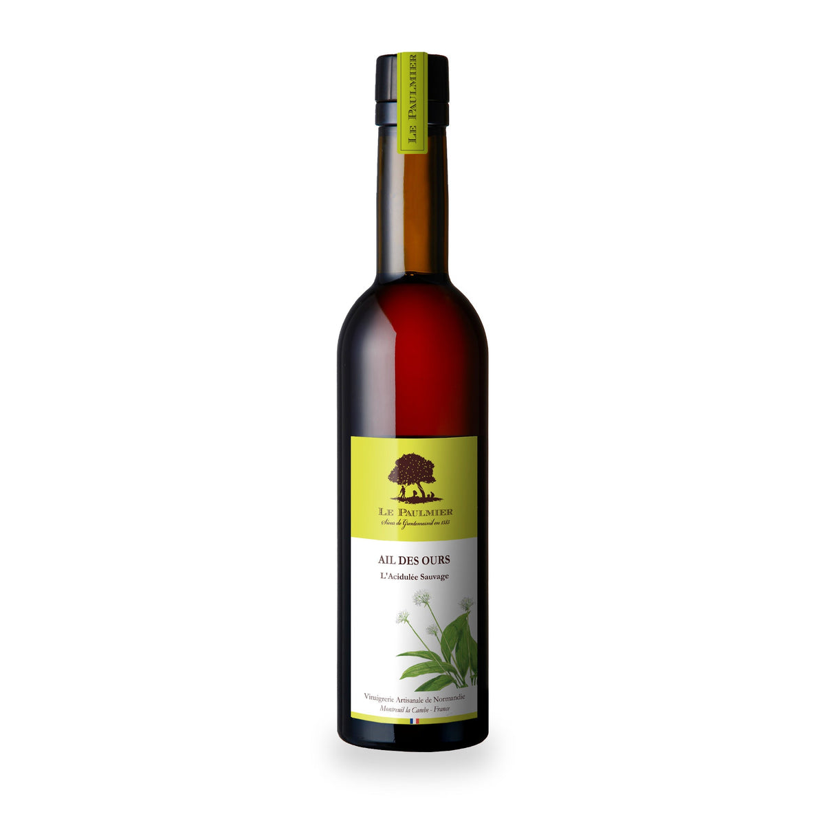 Wild Garlic Apple Cider Vinegar by Le Paulmier