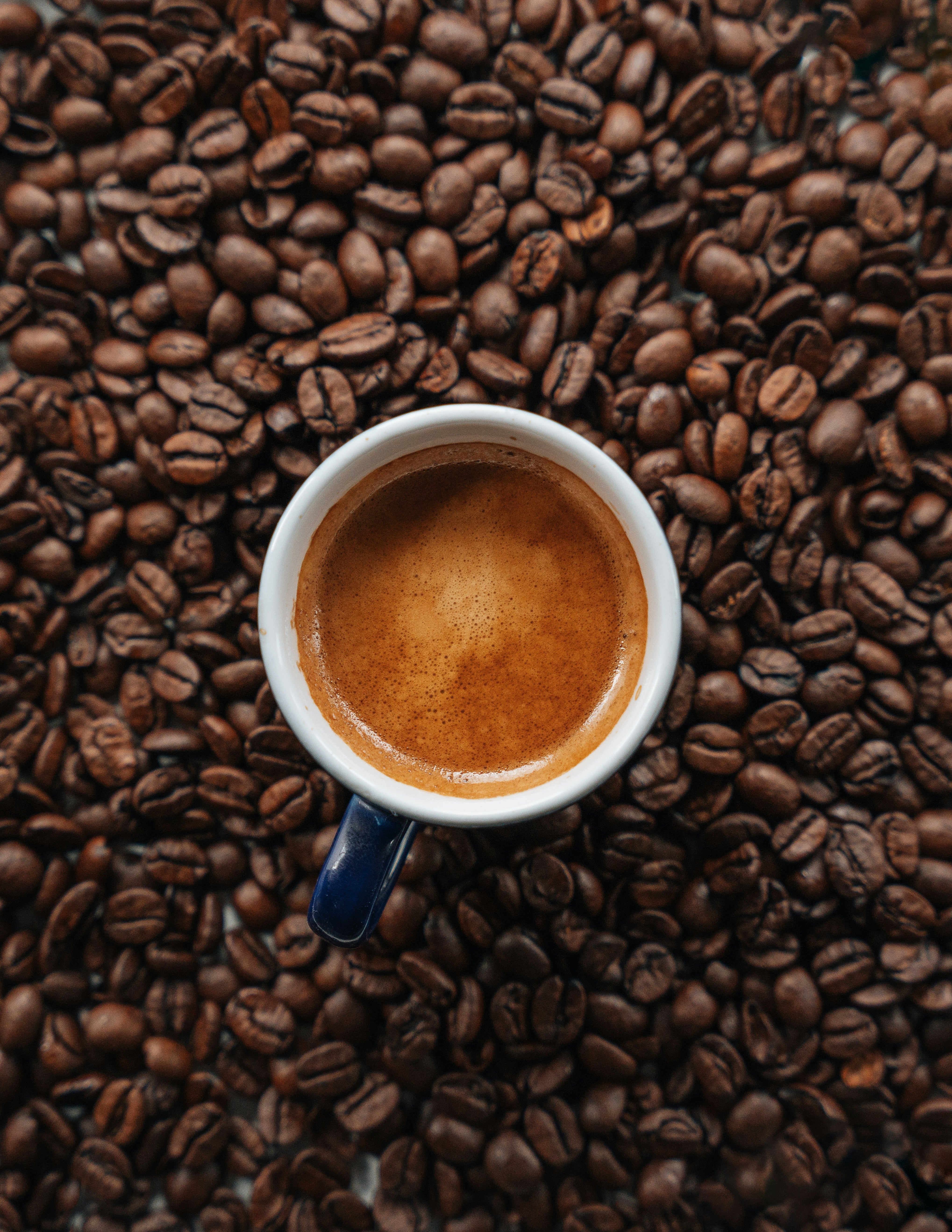 Premium French coffee beans from Terres de Café