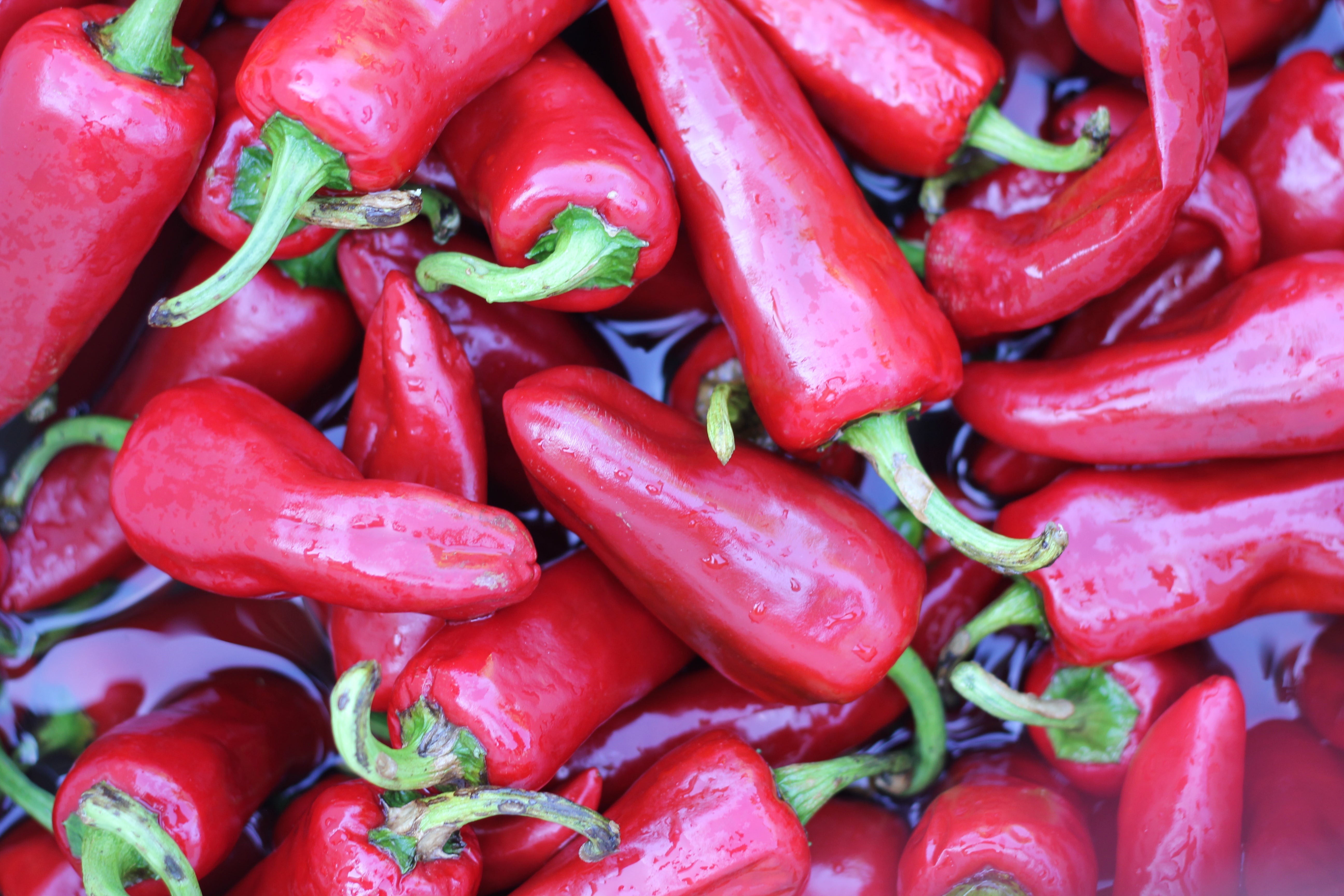 Sauce Martin French artisanal hot sauces