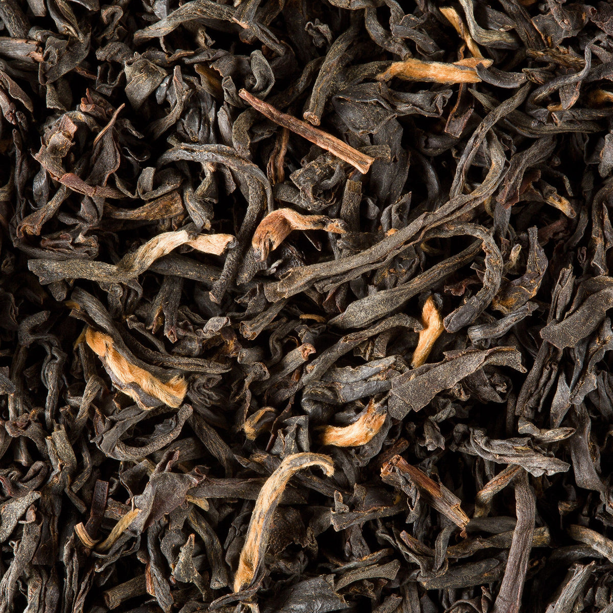 Black tea leaves