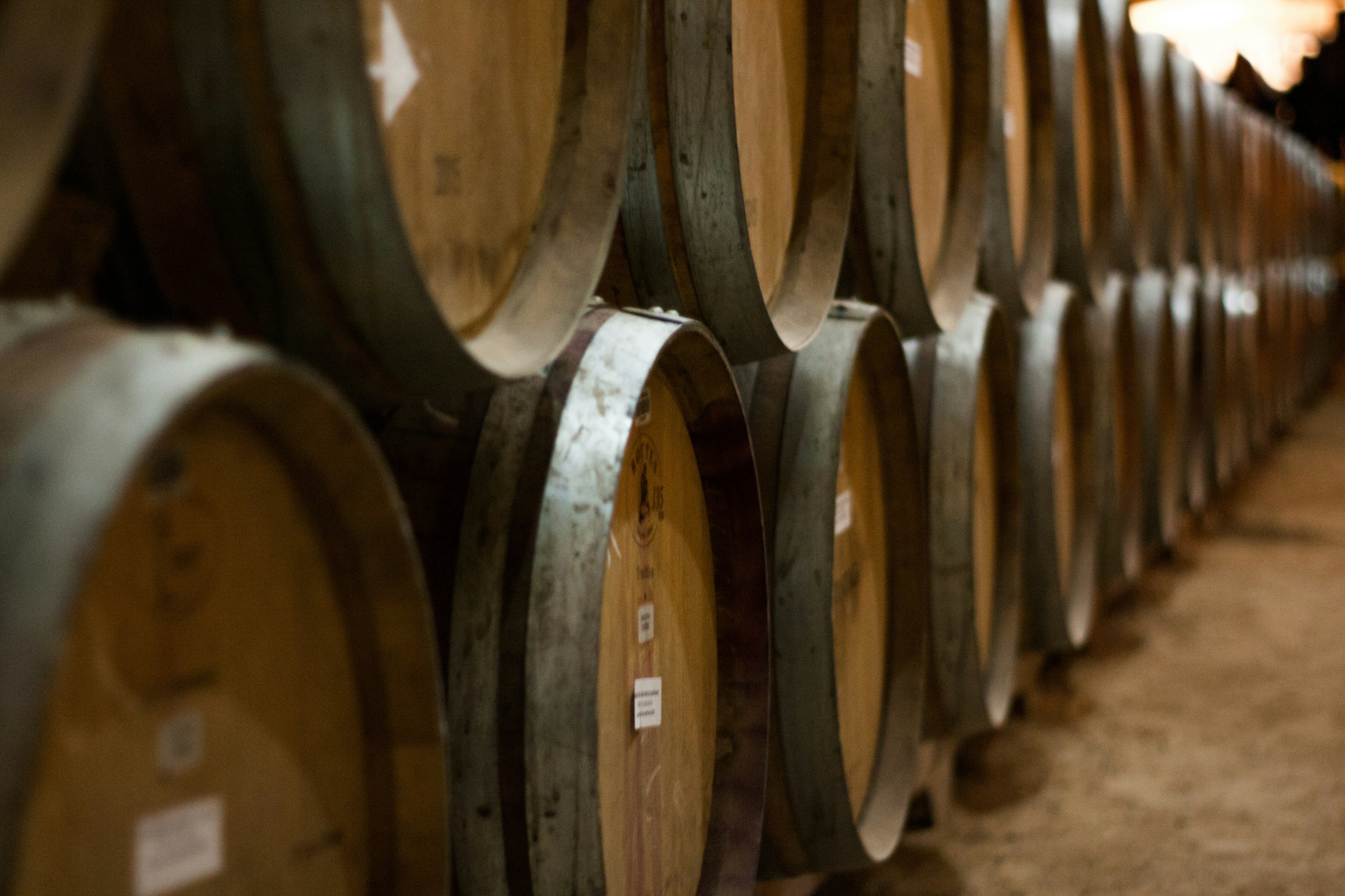 Rows of oak barrels in an aging cellar