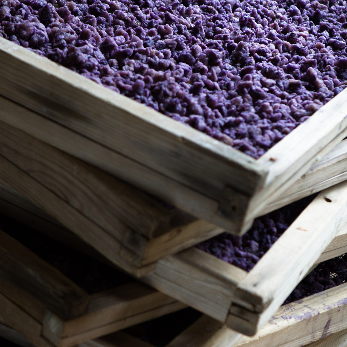 Pétales de violette cristallisés de la Confiserie Florian dans des claies de séchage en bois empilées