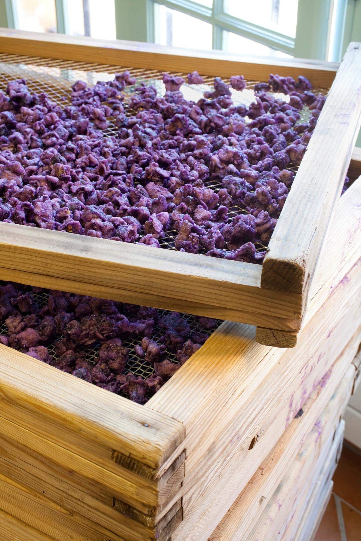 Claies en bois garnies de violettes cristallisées dans l’atelier de la Confiserie Florian