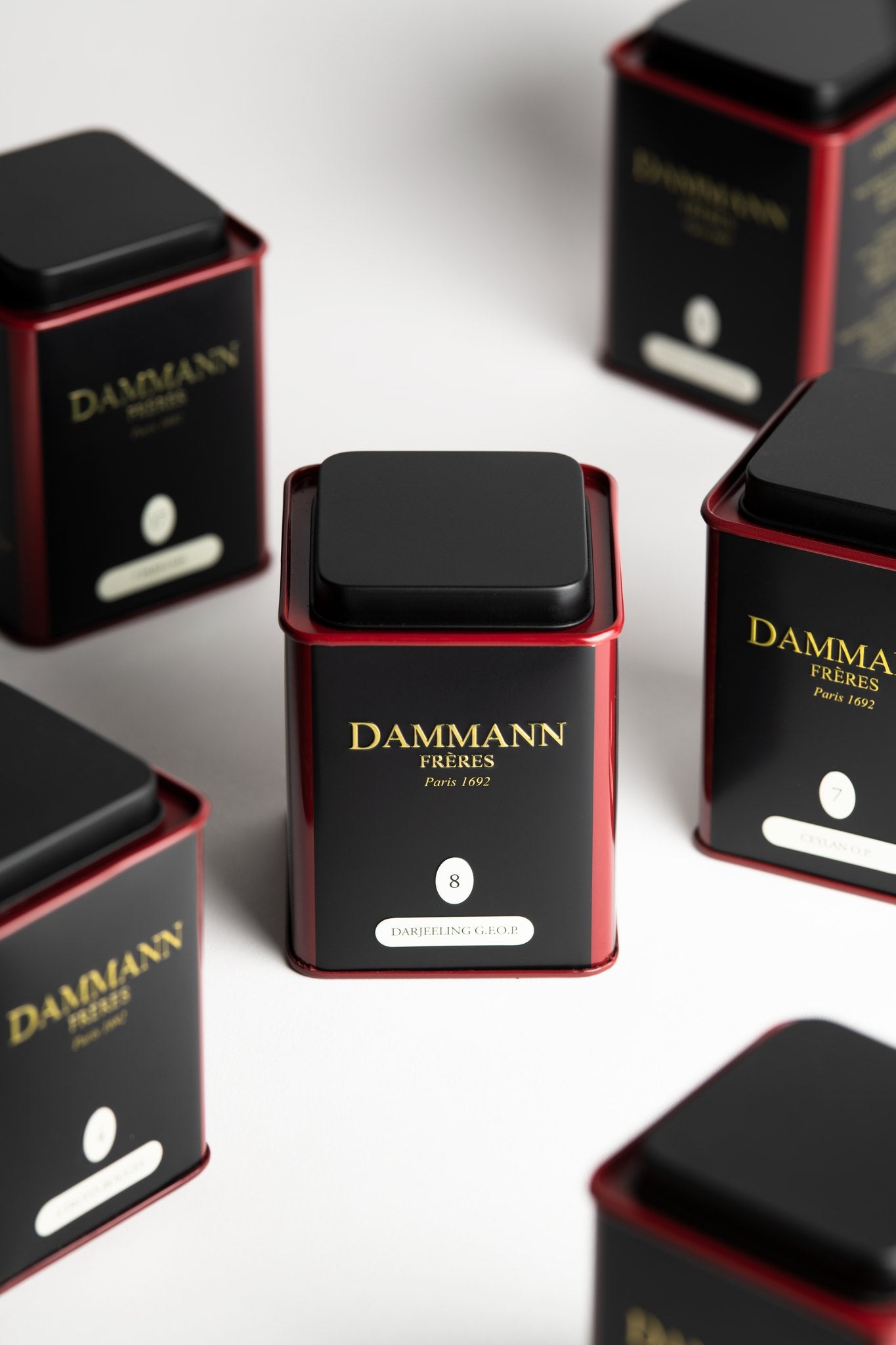 Dammann Frères Darjeeling G.F.O.P. N°8 tin among black and red tea canisters