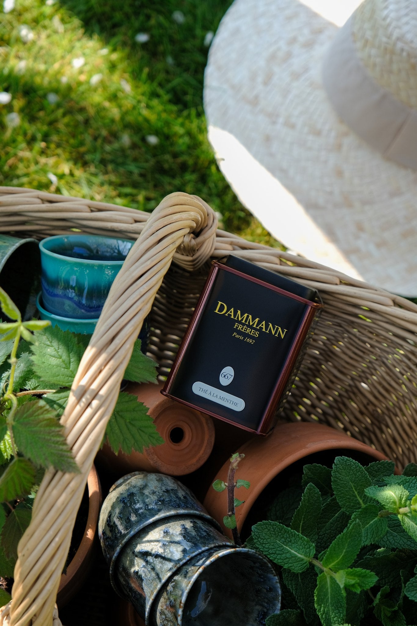 Dammann Frères Thé à la Menthe N°667 tin in a wicker basket with fresh mint and terracotta pots