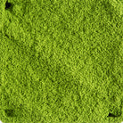 Gros plan sur la poudre du matcha de cérémonie Minami Yamashiro de Dammann Frères