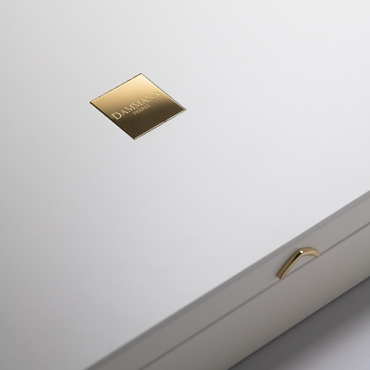 Detail of the Palace Tea Box lid by Dammann Frères, with gold plate and clasp