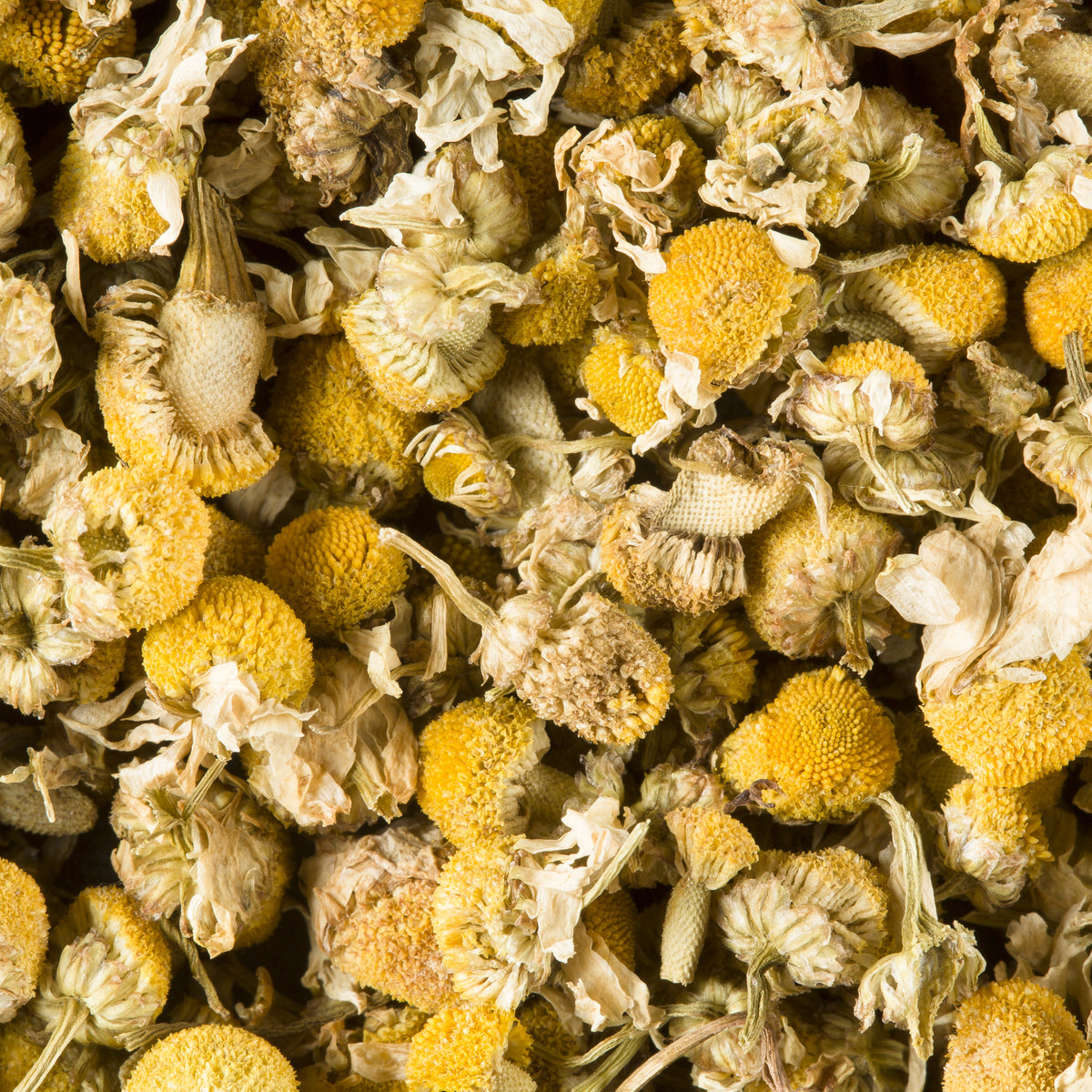Close-up of Chamomile loose herbal infusion by Dammann Frères