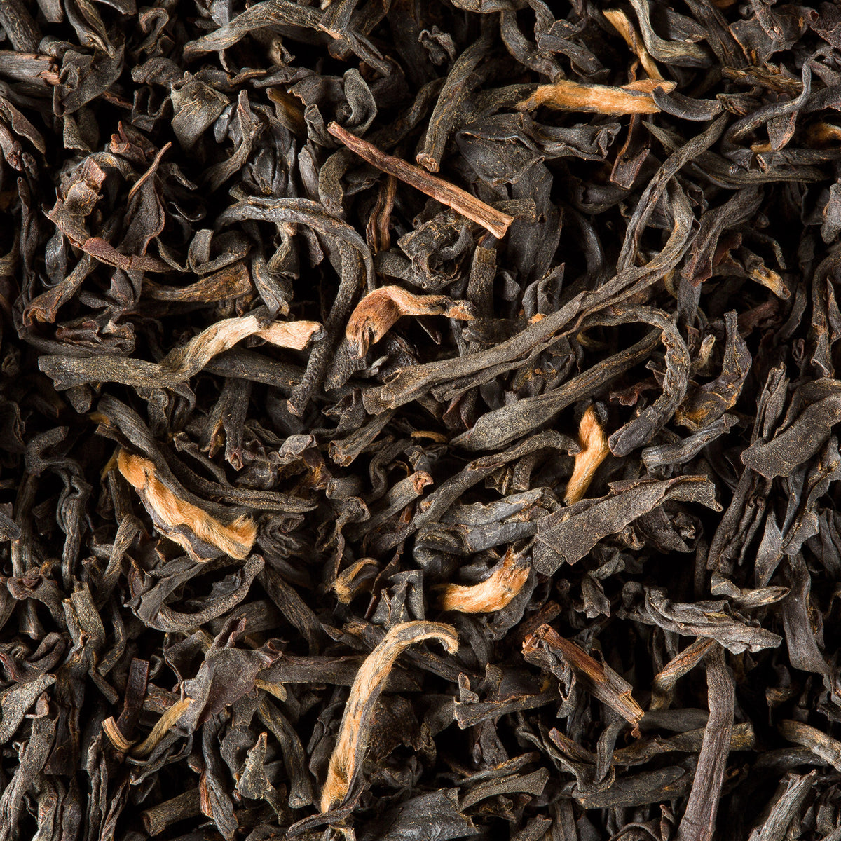 Close-up of Assam G.F.O.P. loose-leaf tea by Dammann Frères