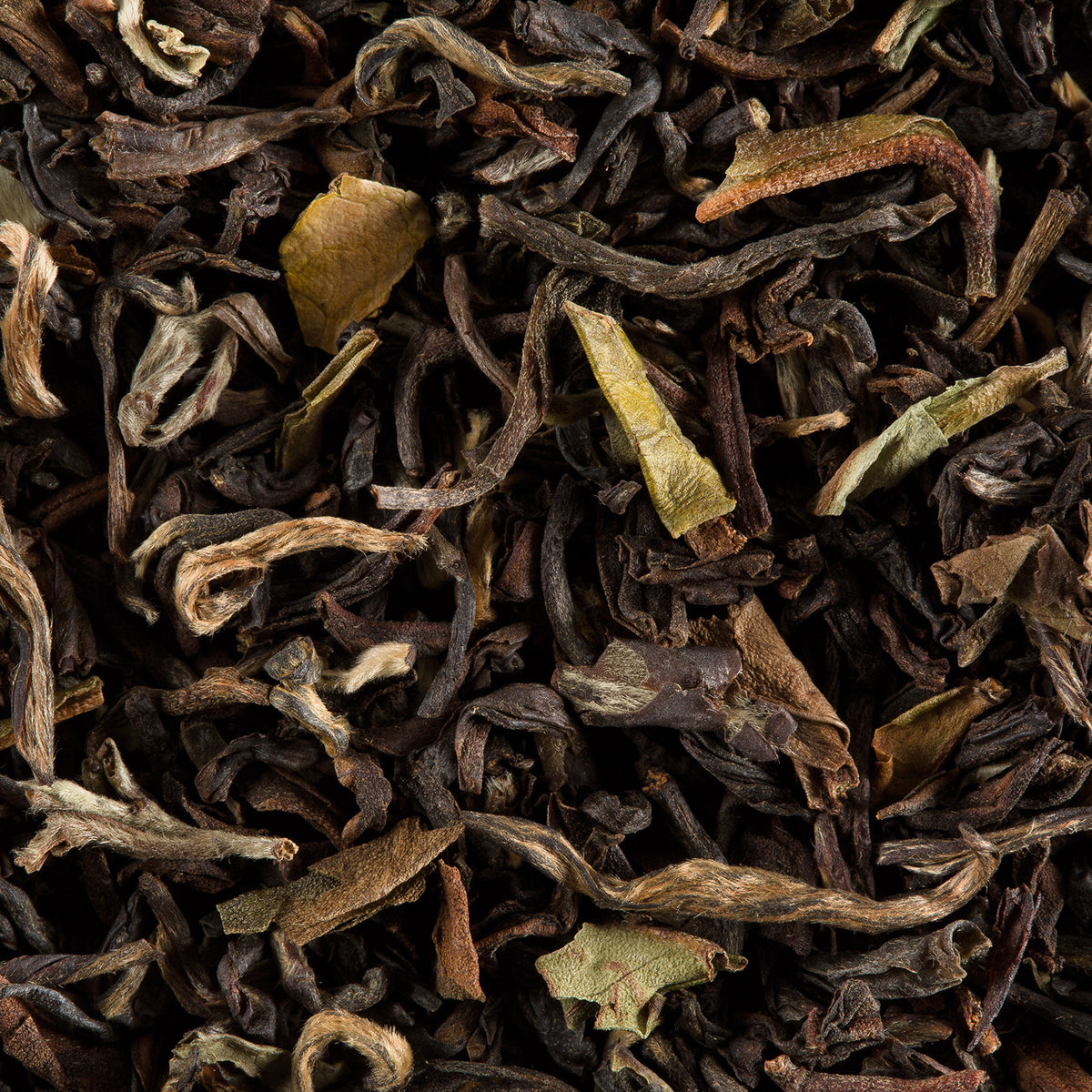 Close-up of Altitude loose-leaf tea by Dammann Frères