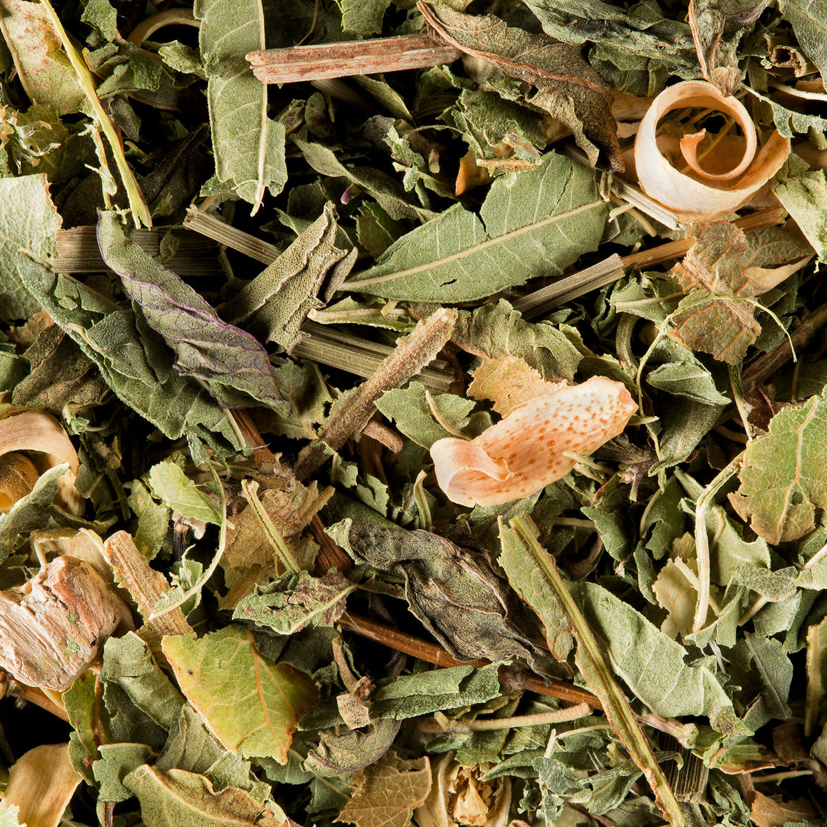 Close-up of Tisane Du Berger loose herbal infusion by Dammann Frères