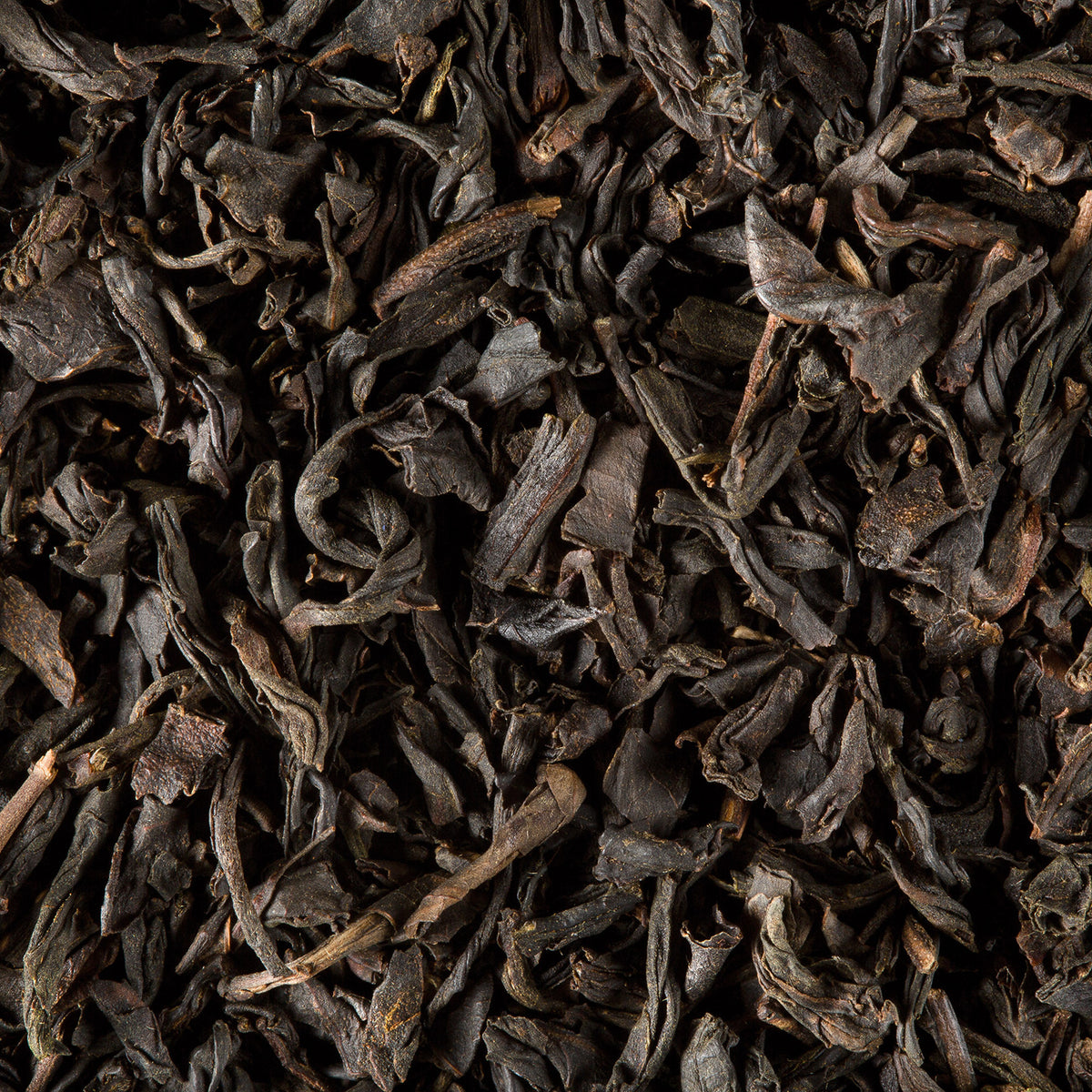Close-up of Organic Earl Grey loose-leaf tea by Dammann Frères