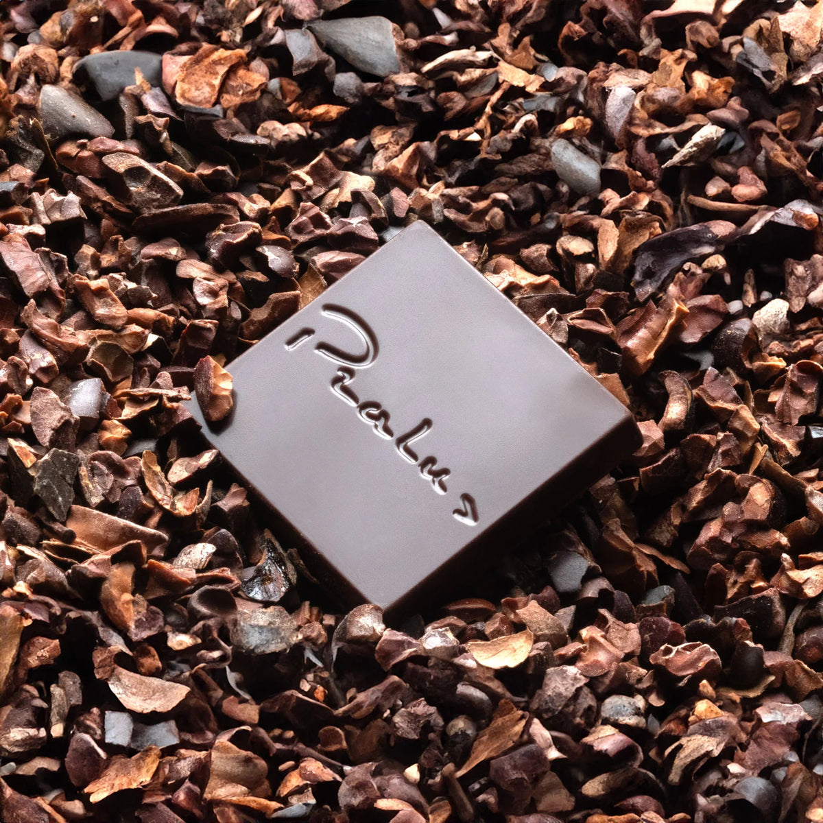 Organic Chocolate Square by François Pralus on cocoa nibs