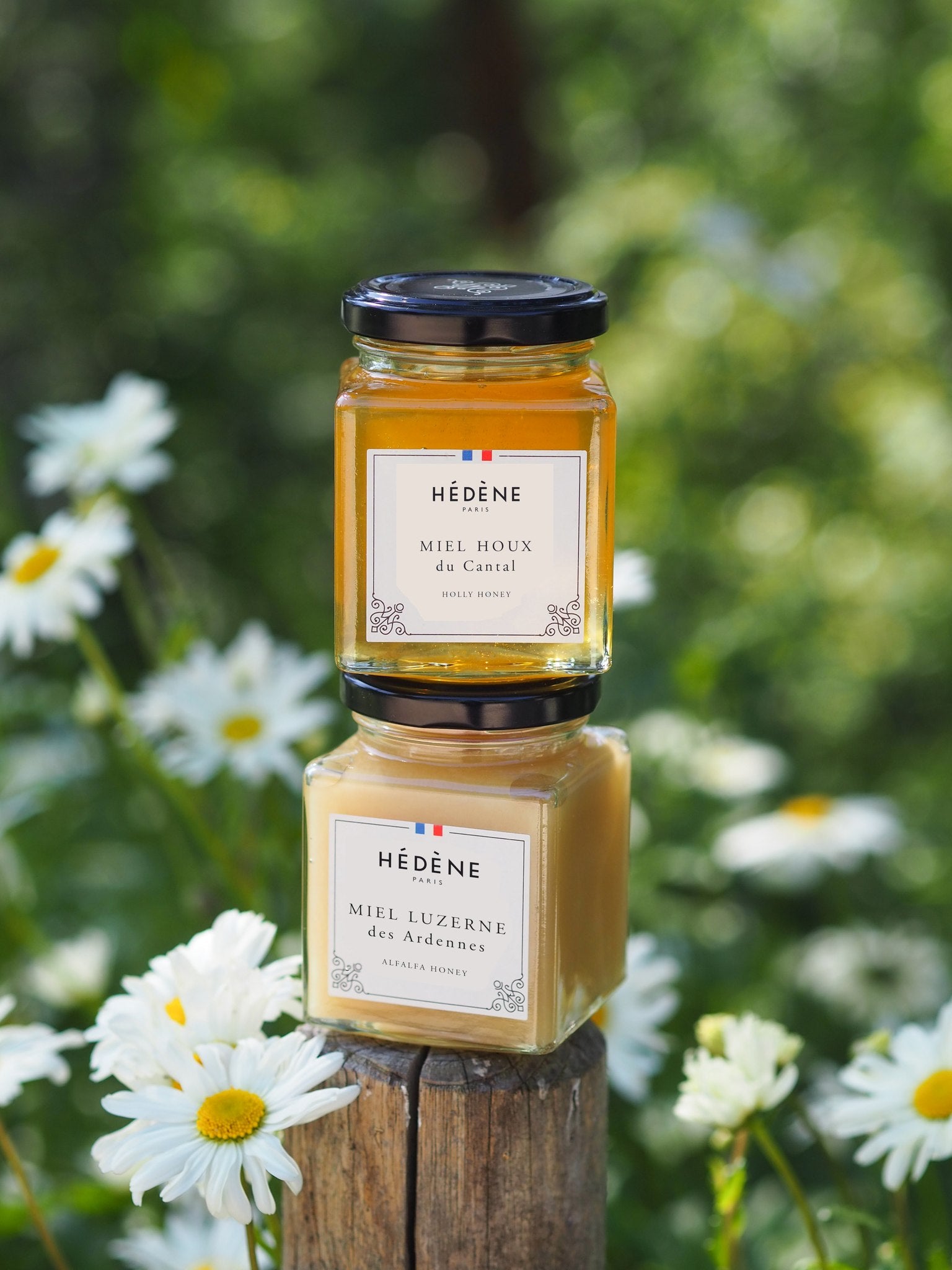 Hédène holly honey and Ardennes alfalfa honey stacked among daisies