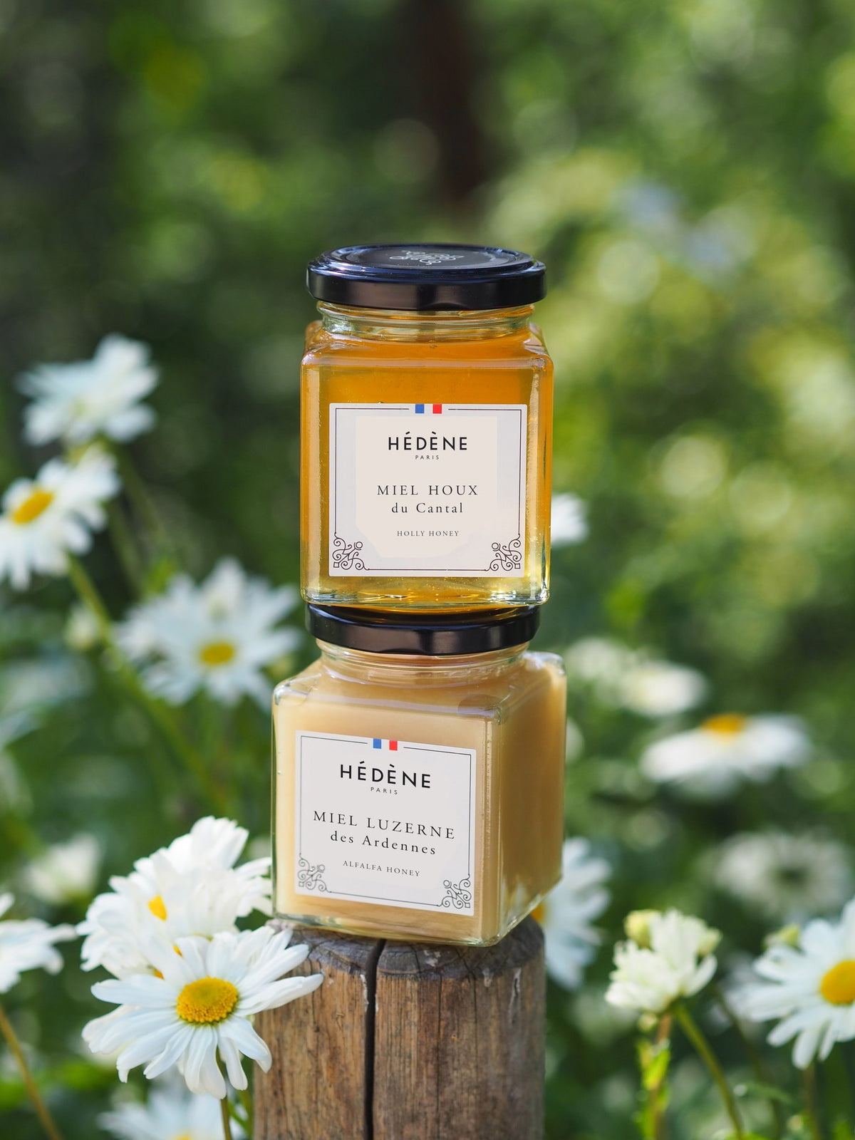 Miel de houx et miel de luzerne des Ardennes Hédène empilés parmi des marguerites