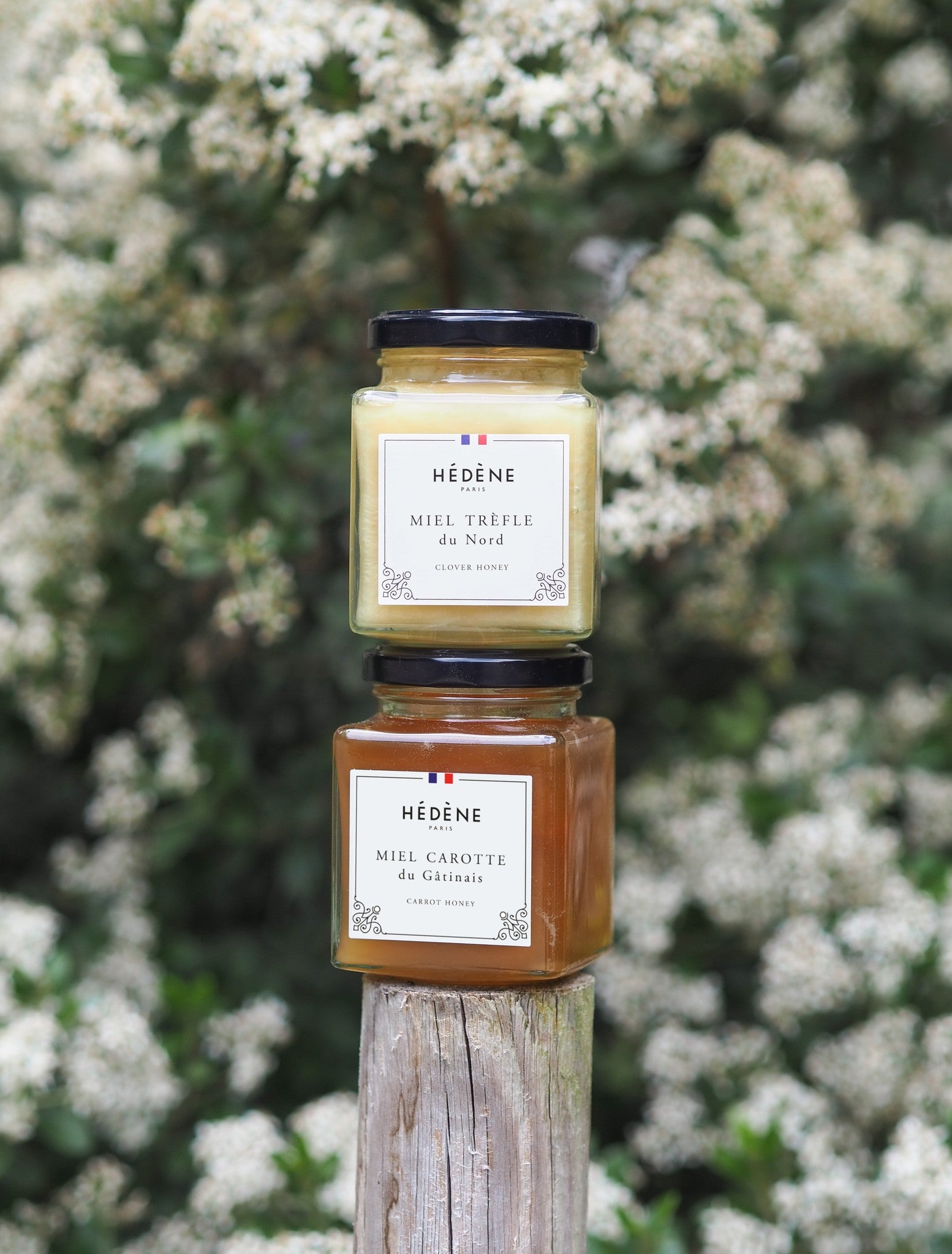 Clover Honey by Hédène stacked on a jar of carrot honey, outdoors against a flowering shrub
