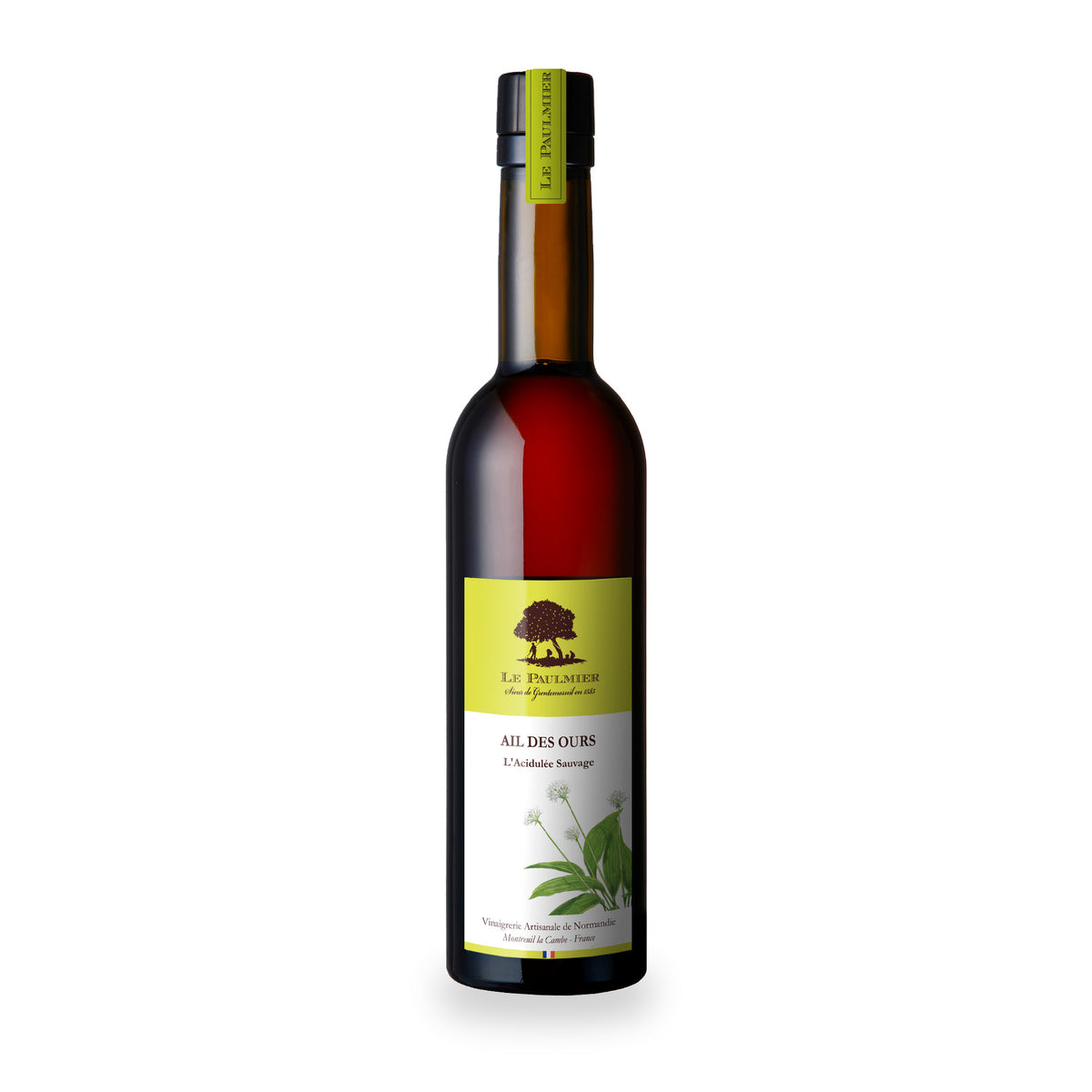 Wild Garlic Apple Cider Vinegar by Le Paulmier, 350 ml glass bottle