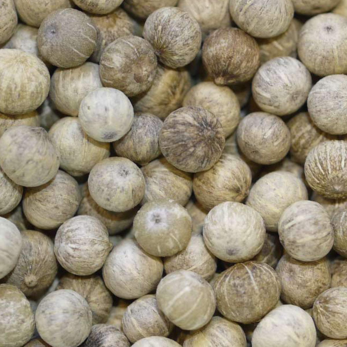 Close-up of White Kampot Peppercorns by Place des Épices