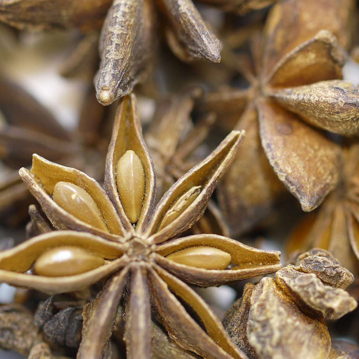 Close-up of Star Anise by Place des Épices