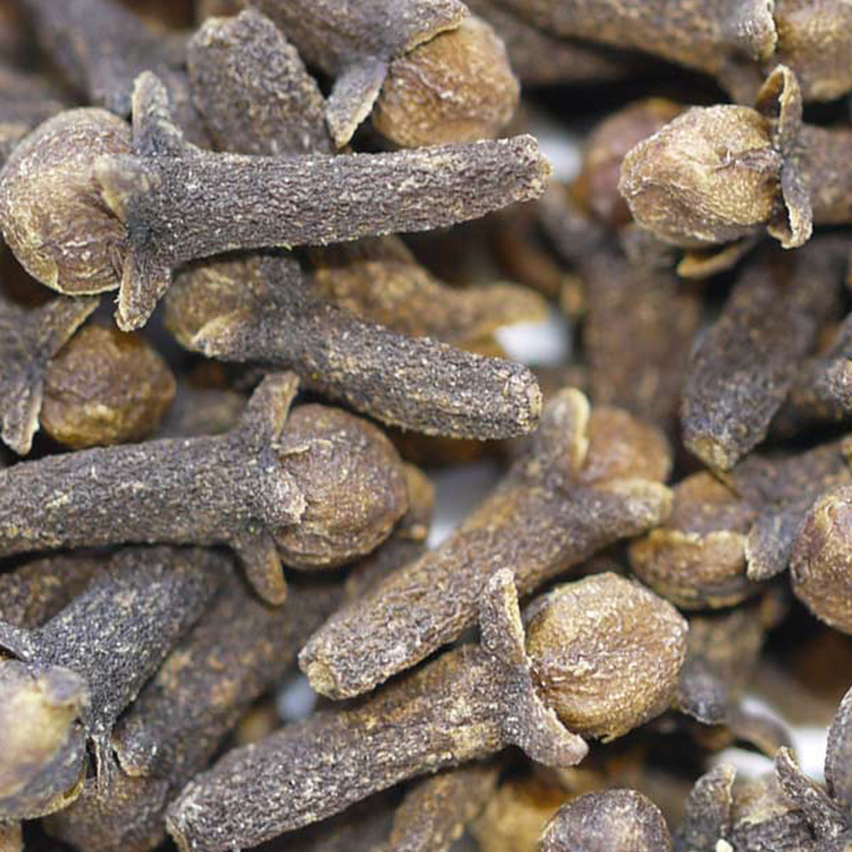 Close-up of Cloves by Place des Épices
