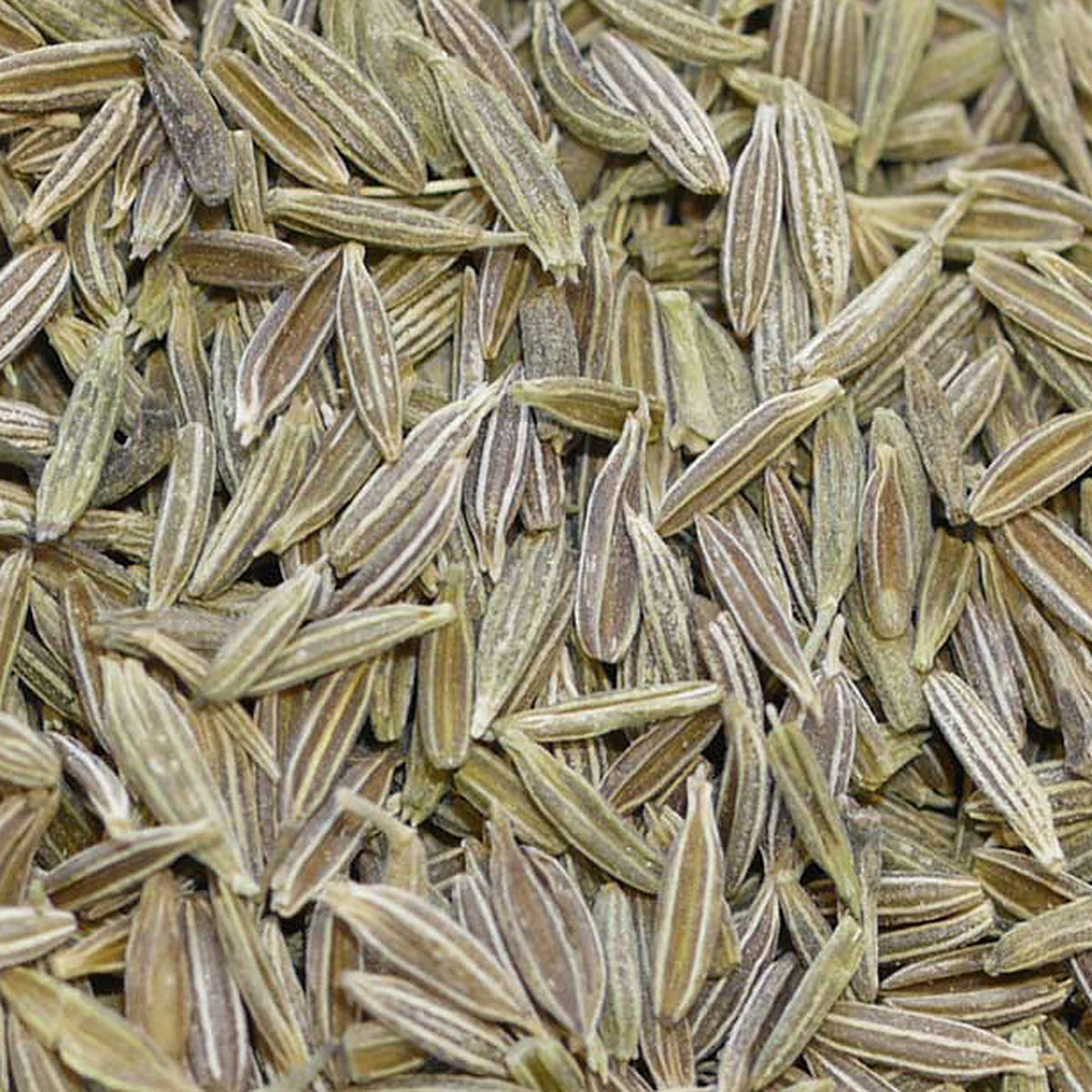 Close-up of Cumin Seeds by Place des Épices